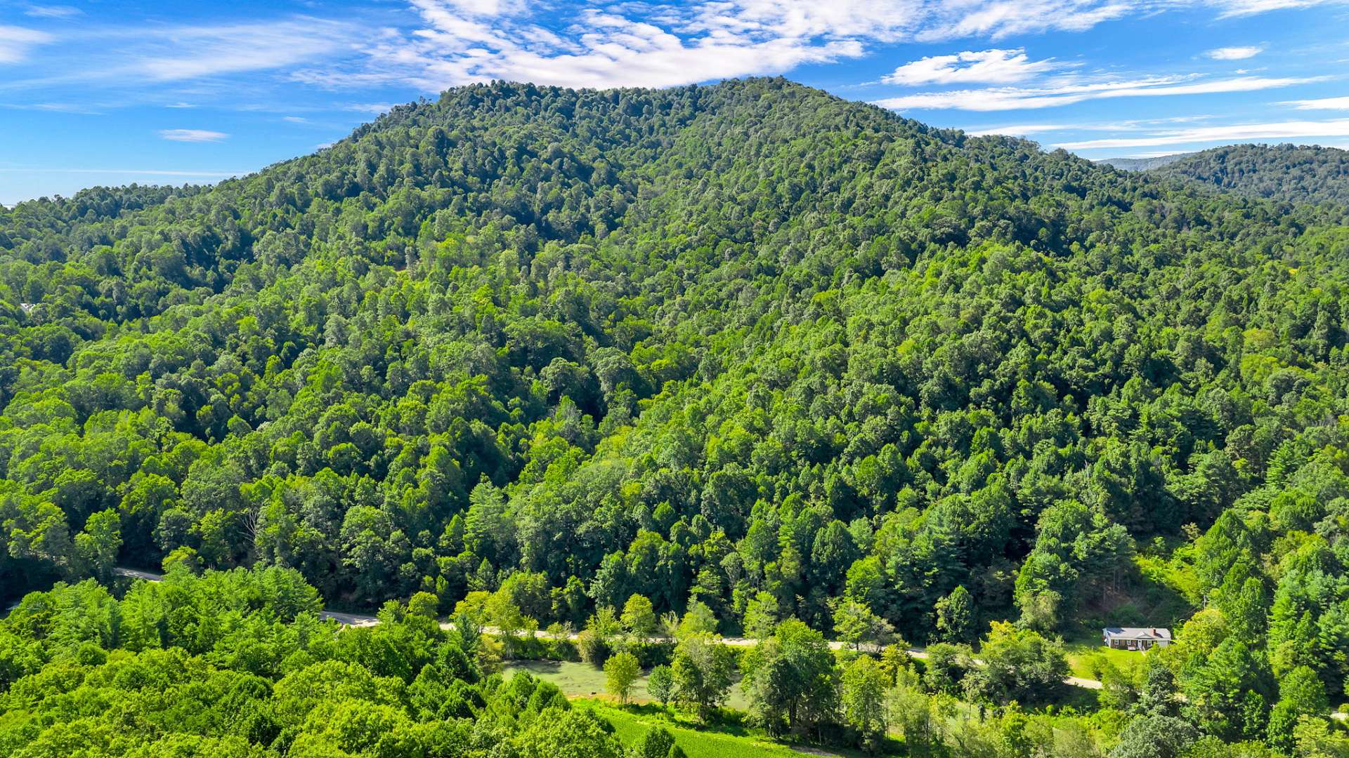 You will never tire of seeing the different hues of green that are a part of the Appalachian Mountains.