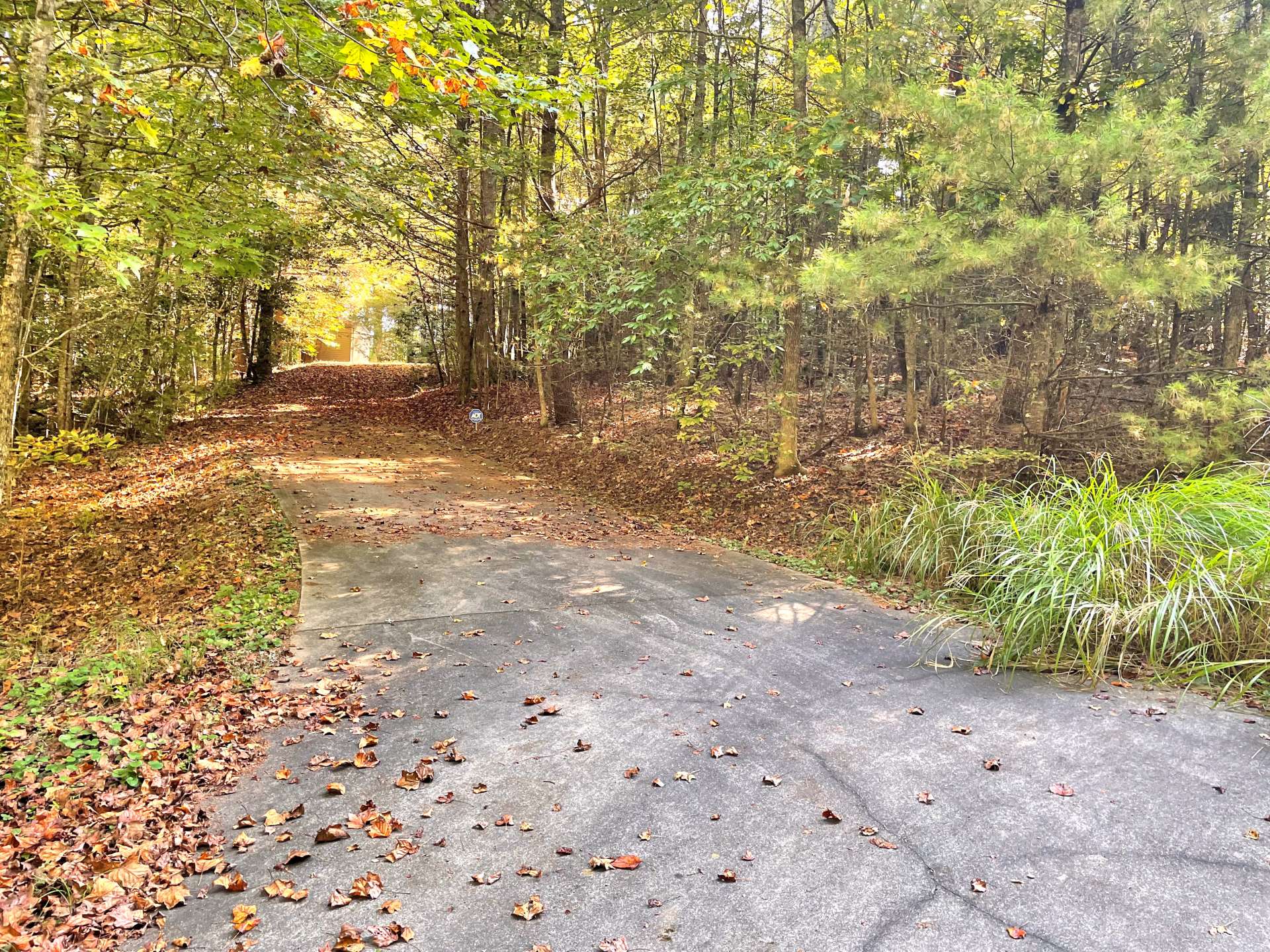 Driveway to the lower level.