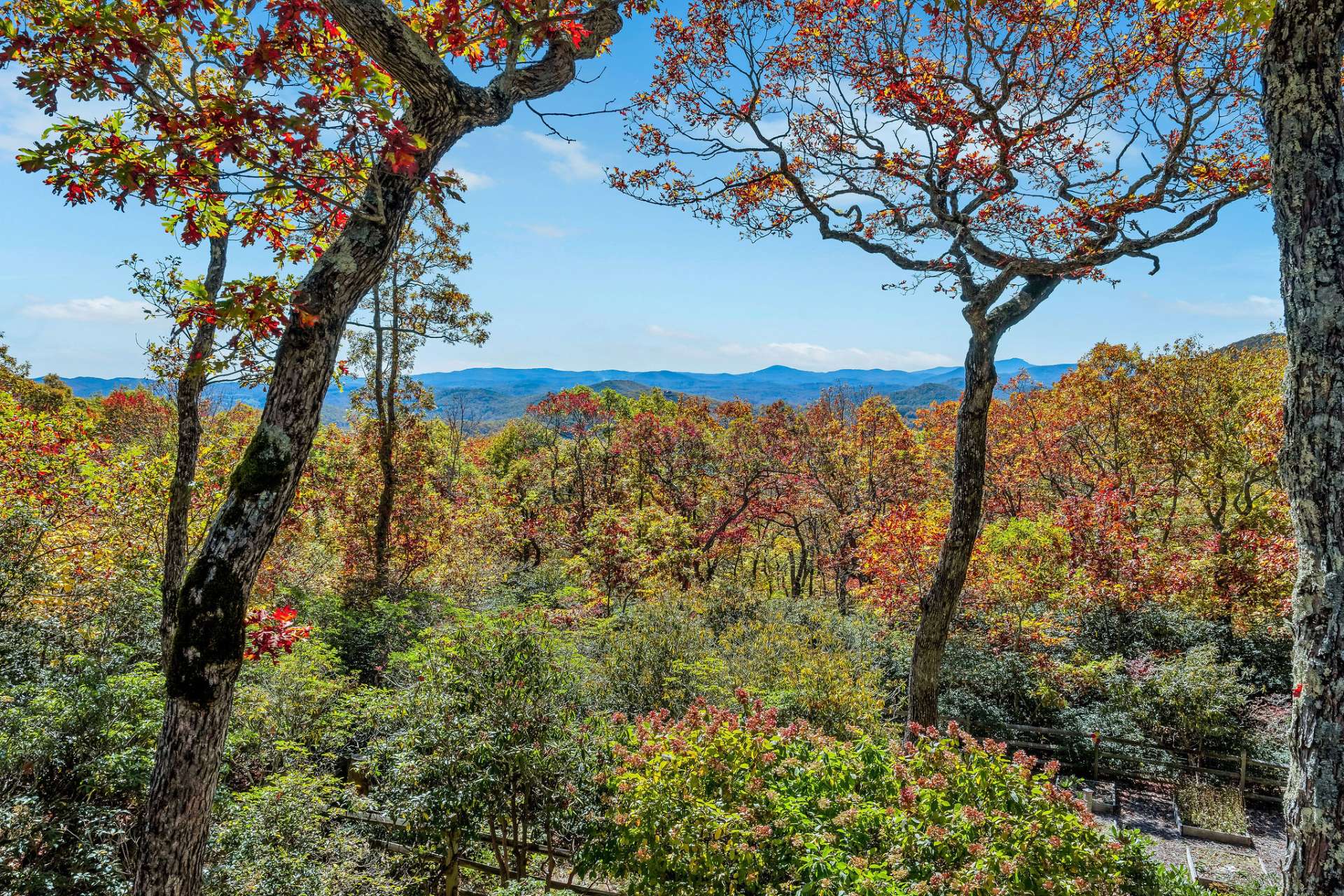 Wake up to a view of Grandfather Mountain!