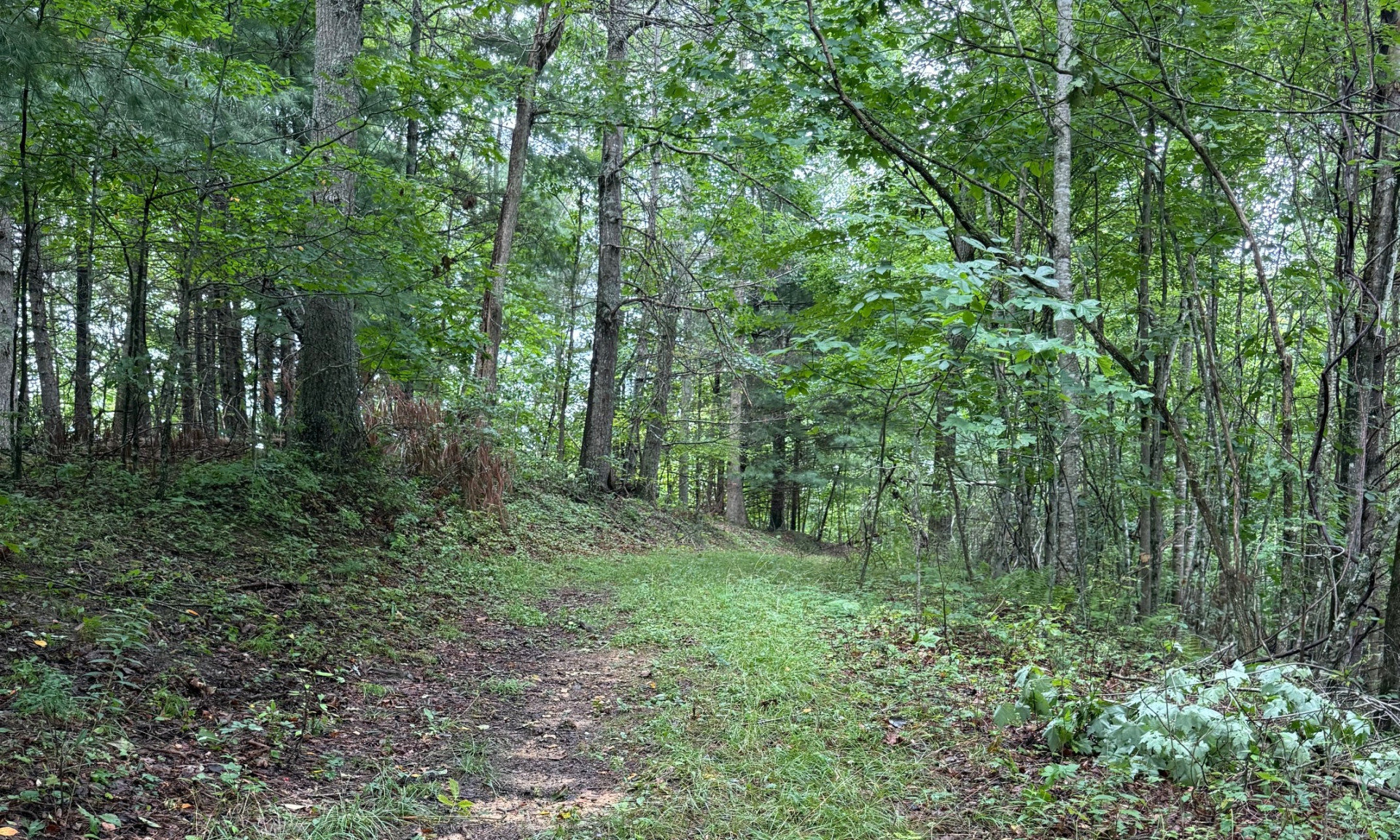 Beautiful Acreage NC Ashe High Country Lansing