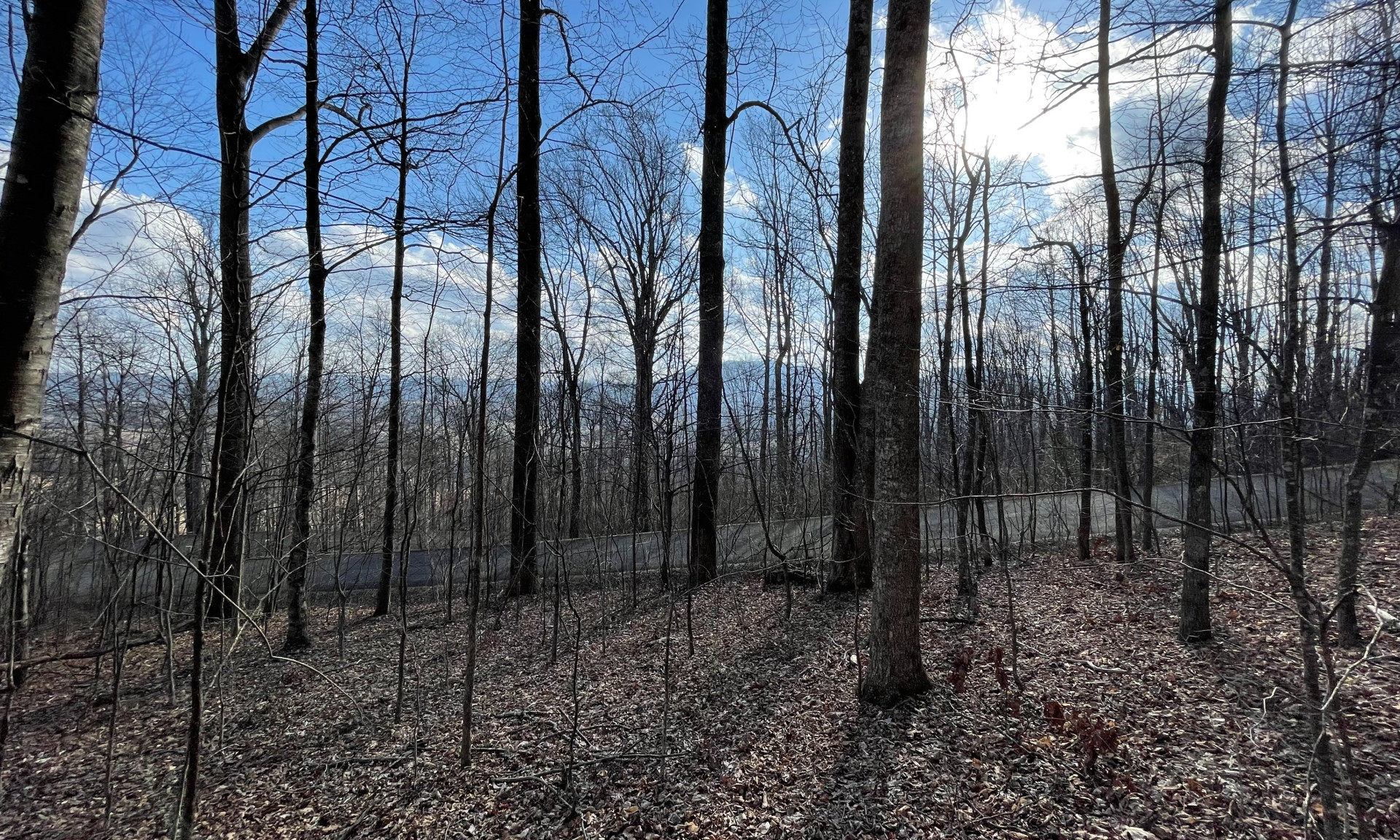 Blue Ridge Mountain Acreage in Crumpler NC
