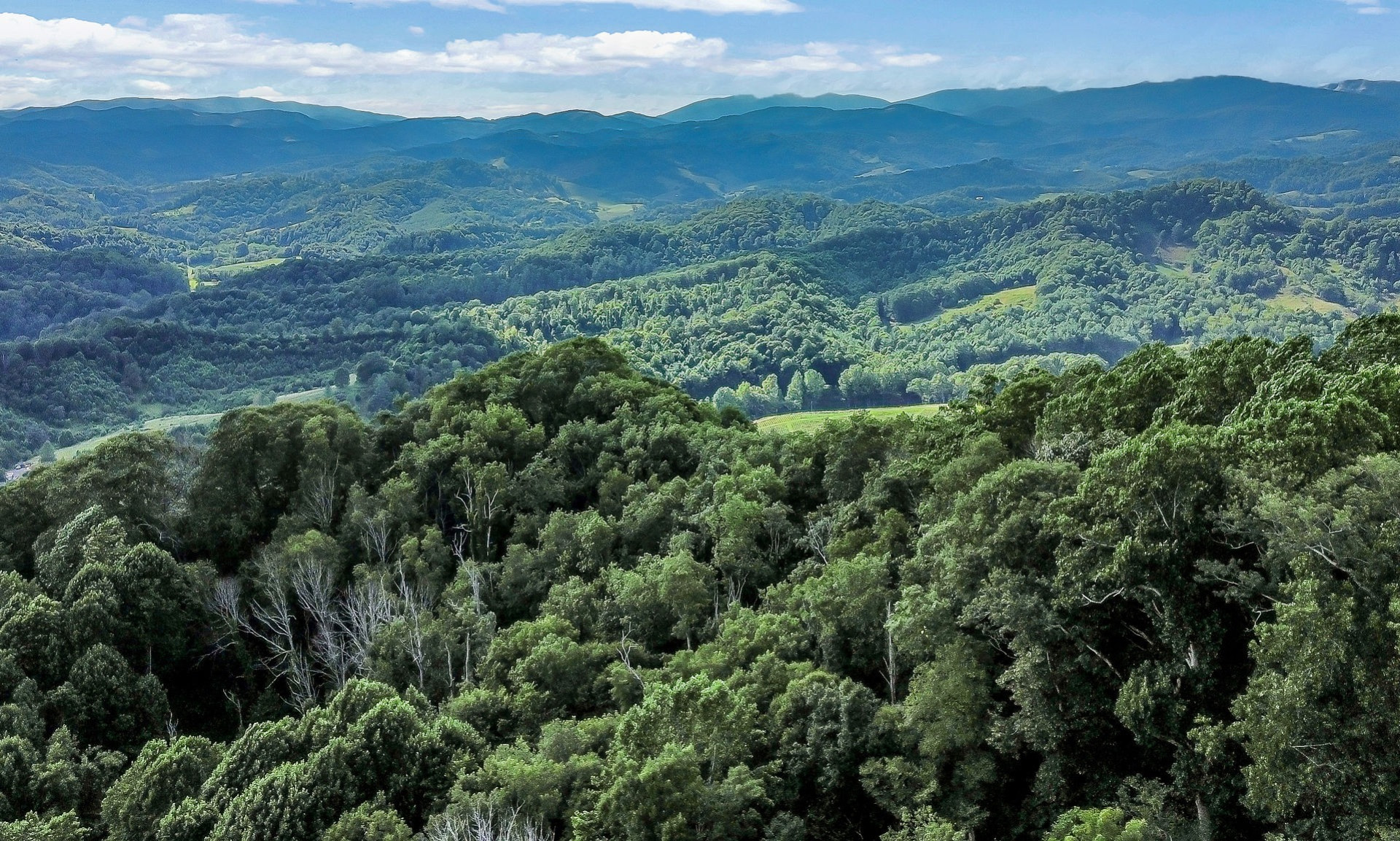 Peaceful Mountain Living in Grassy Creek NC