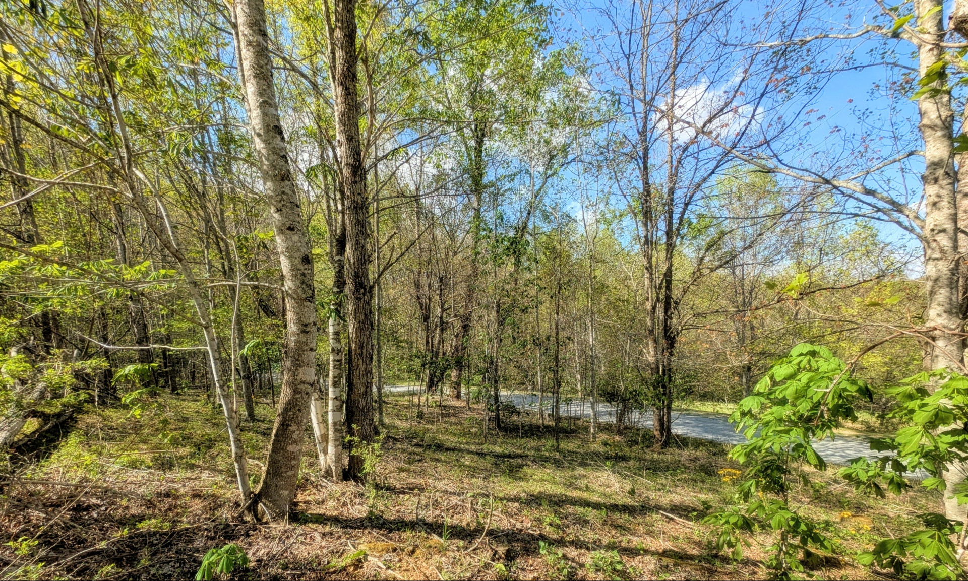 Watauga County Todd NC Land