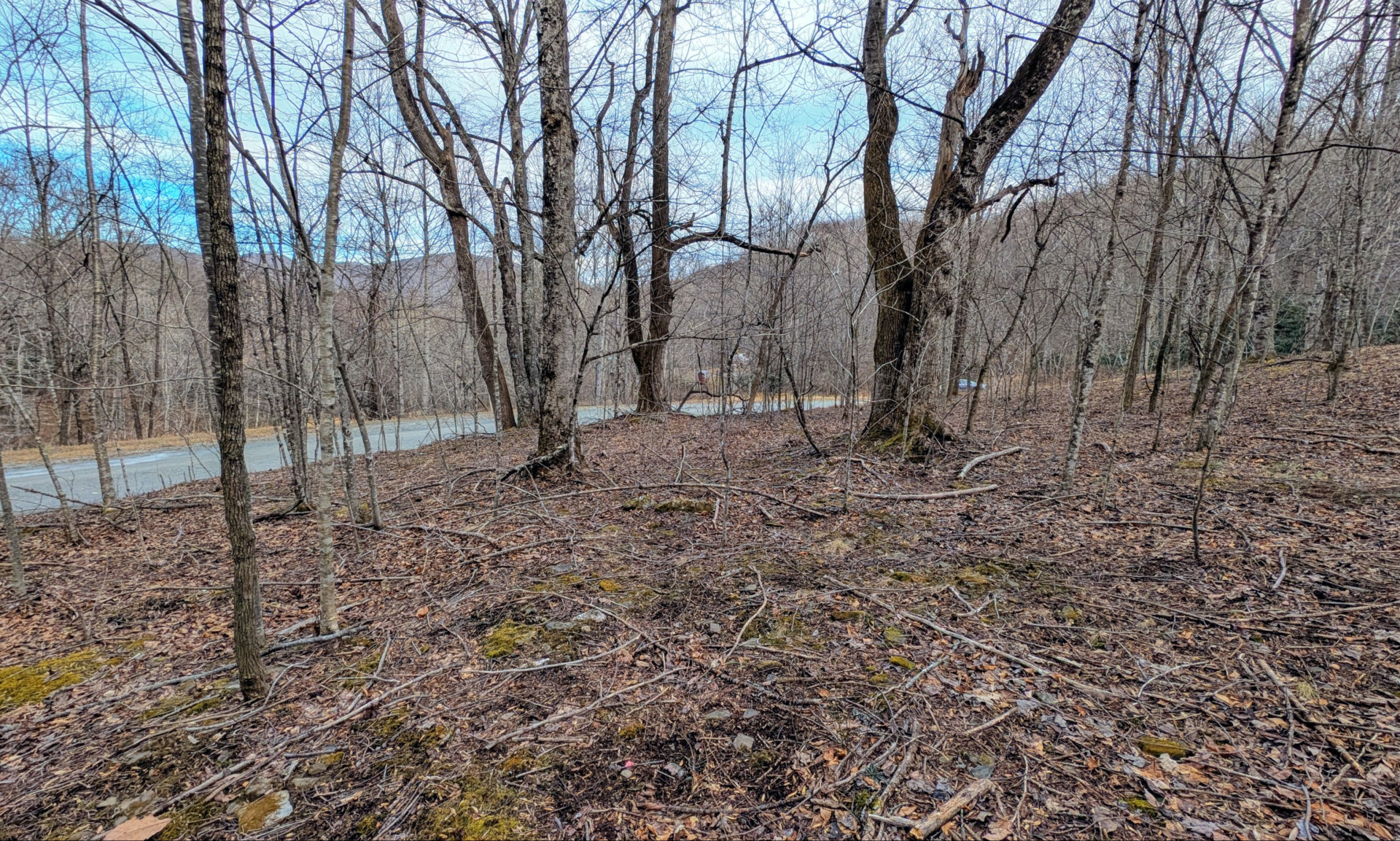 Watauga County Todd NC Land