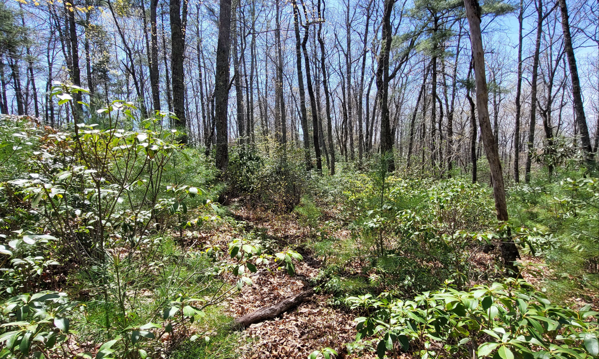 West Jefferson NC Mountain Homesite