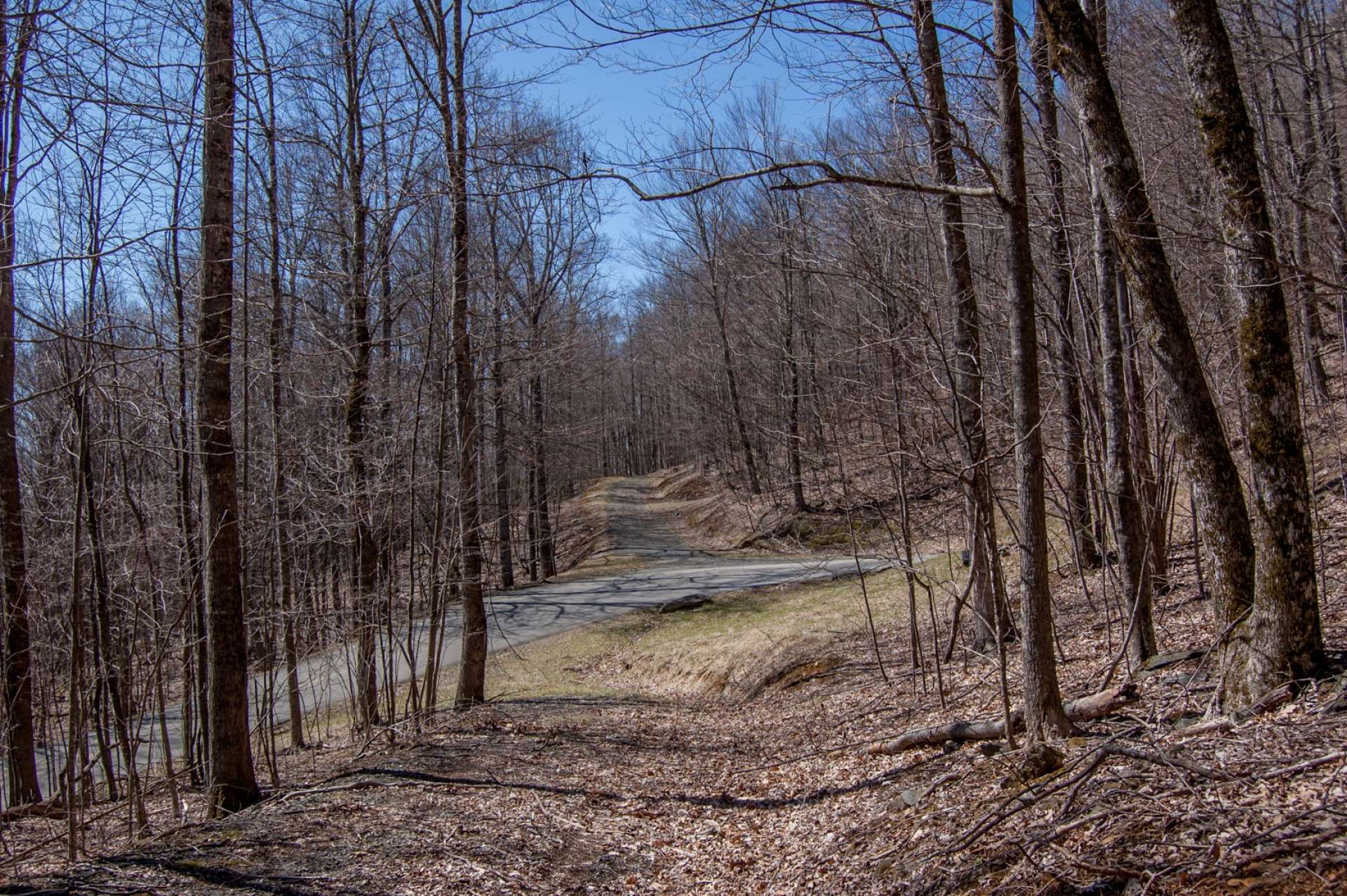 This home site is located near the base of the mountain but still enjoys a high elevation and seasonal views.  The Southern Ashe County location is convenient to Boone, West Jefferson, Todd and all of the NC High Country destinations.