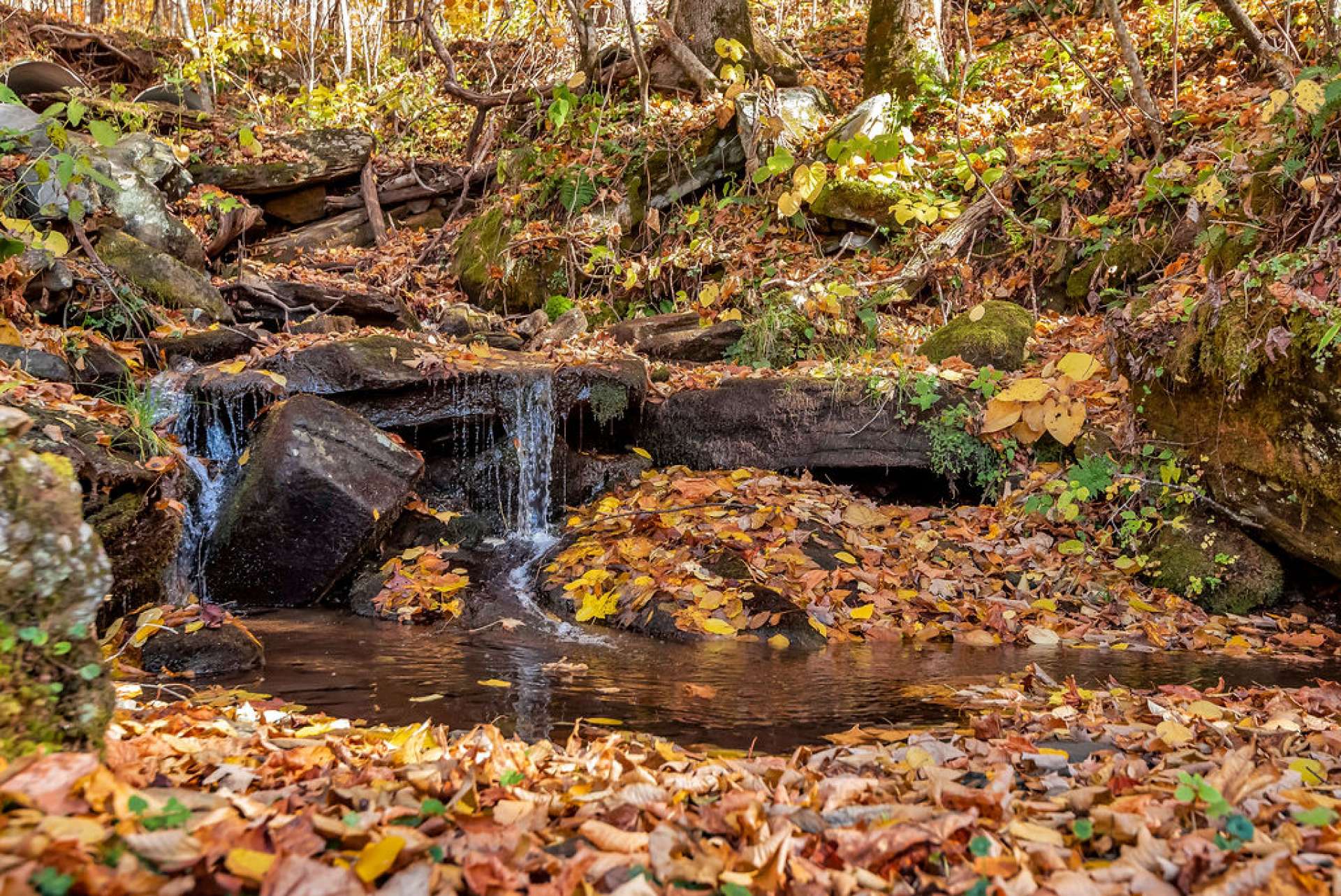 Scenic waterfalls on this property.