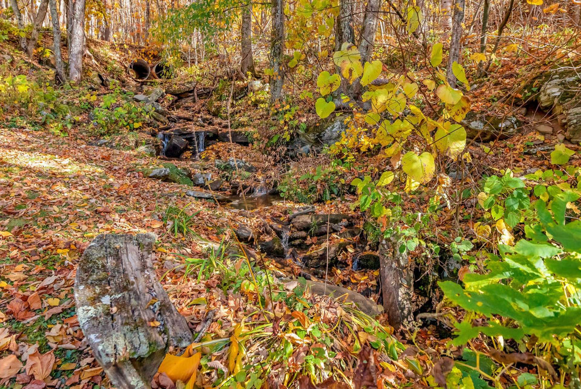 Waterfalls are created as the creek rolls and tumbles through the property.