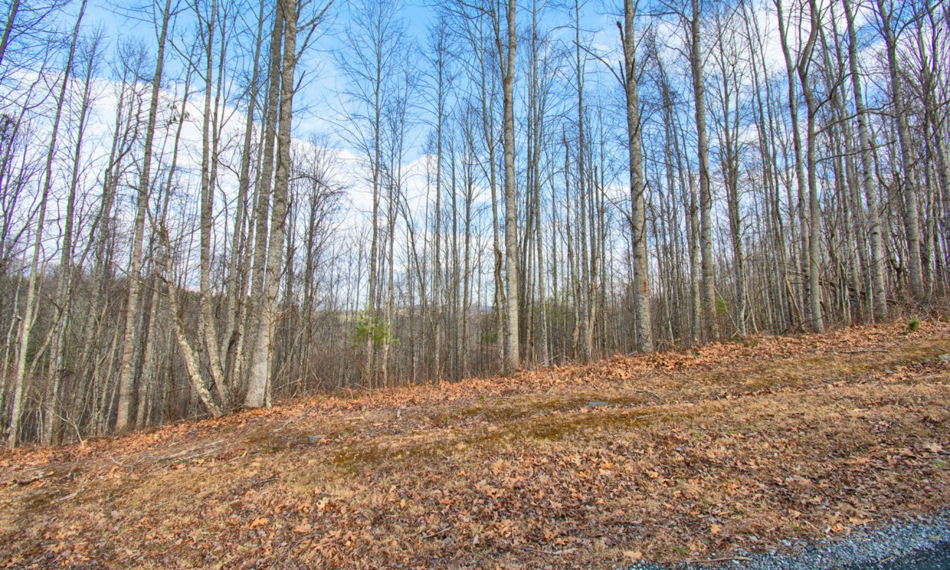 Affordable NC Mountain Homesite Crumpler