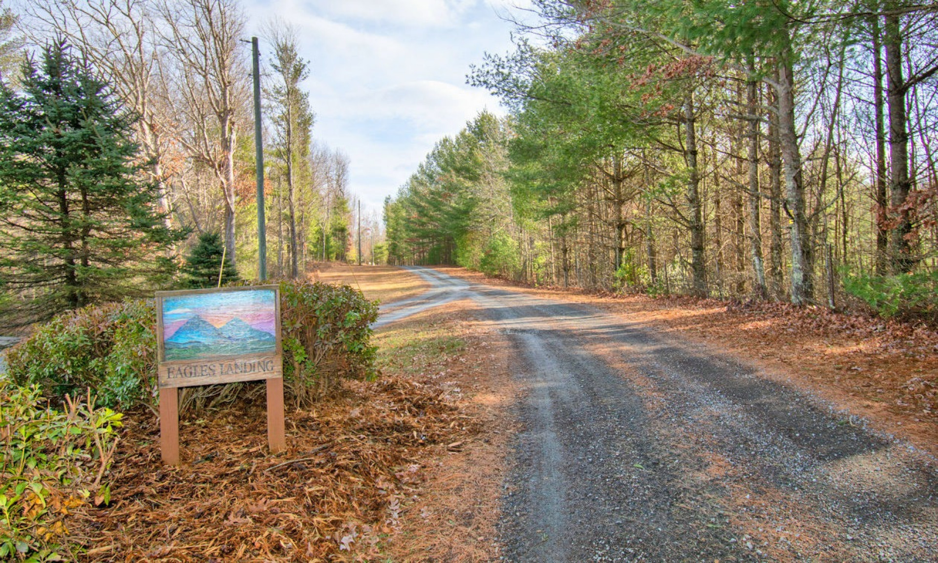 Eagles Landing is a small mountain community offering affordable homesites close to the New River and West Jefferson.