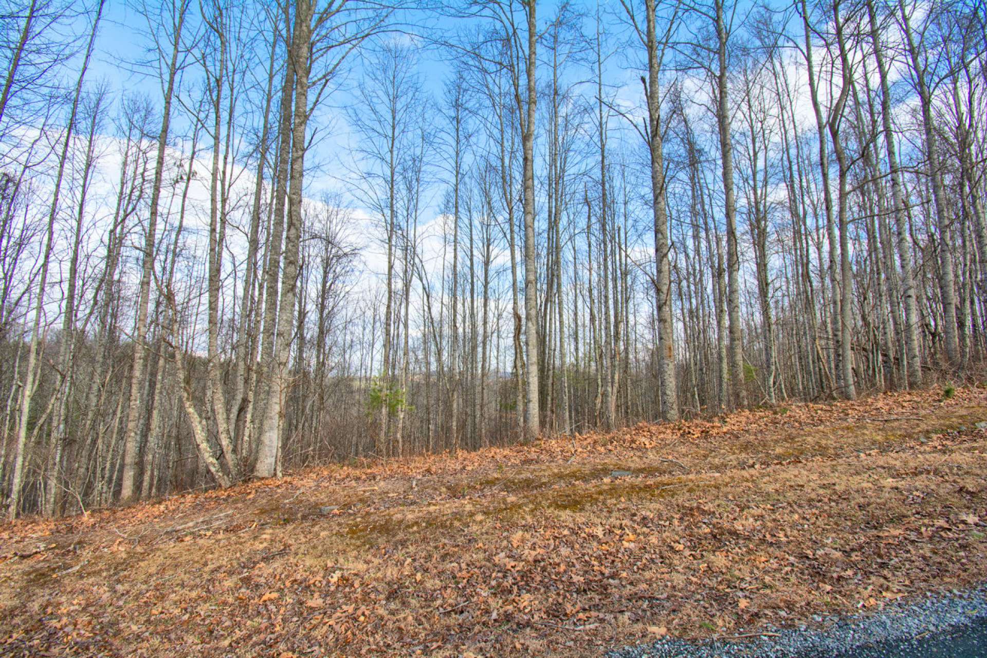 Consider Lot 22, a beautiful 0.67 acre homesite now available.
