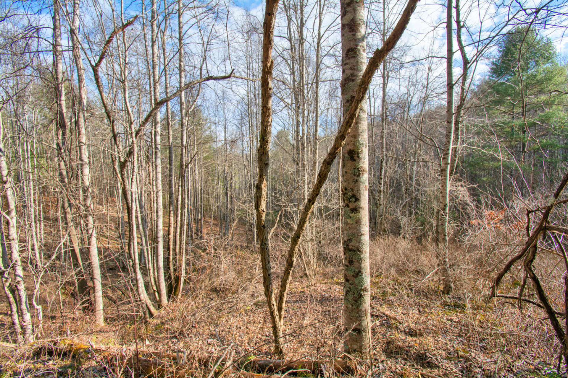 Lots 18 and 19 together for a 2.82 acre mountain homesite.