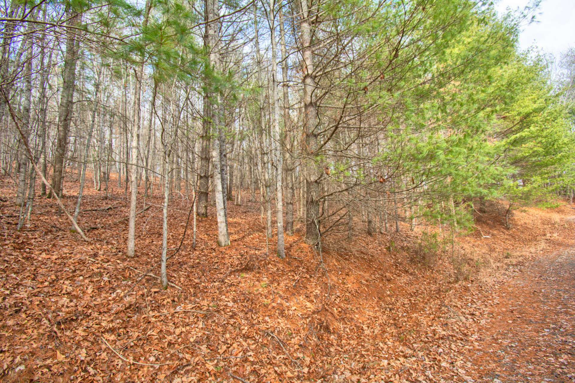 This homesite has a an easy-build terrain.