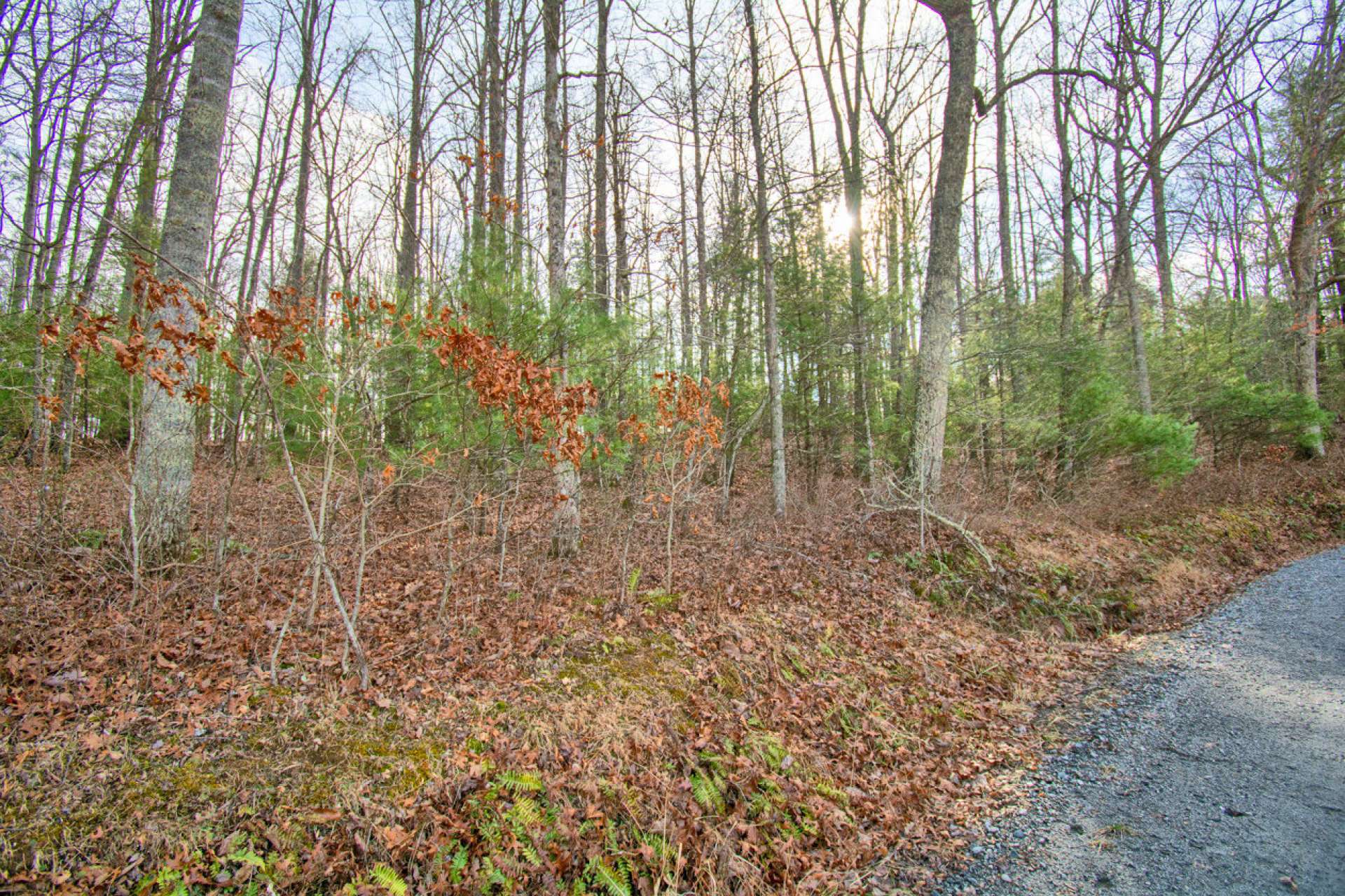 This beautiful homesite features a beautifully wooded setting with a diverse mixture of native hardwoods, evergreens and mountain foliage.