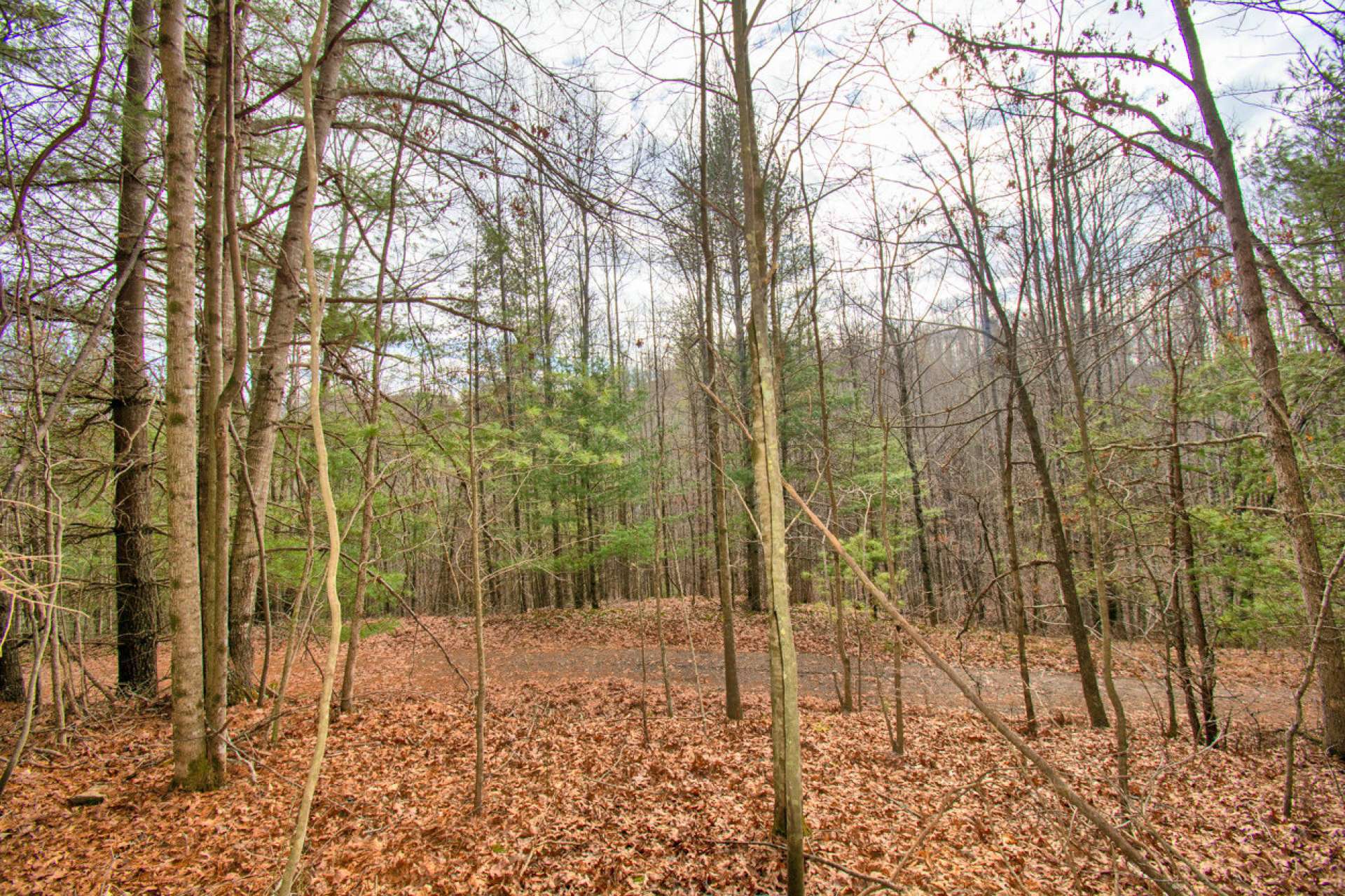 Lot 10  is another 1.26 acre easy-build homesite.