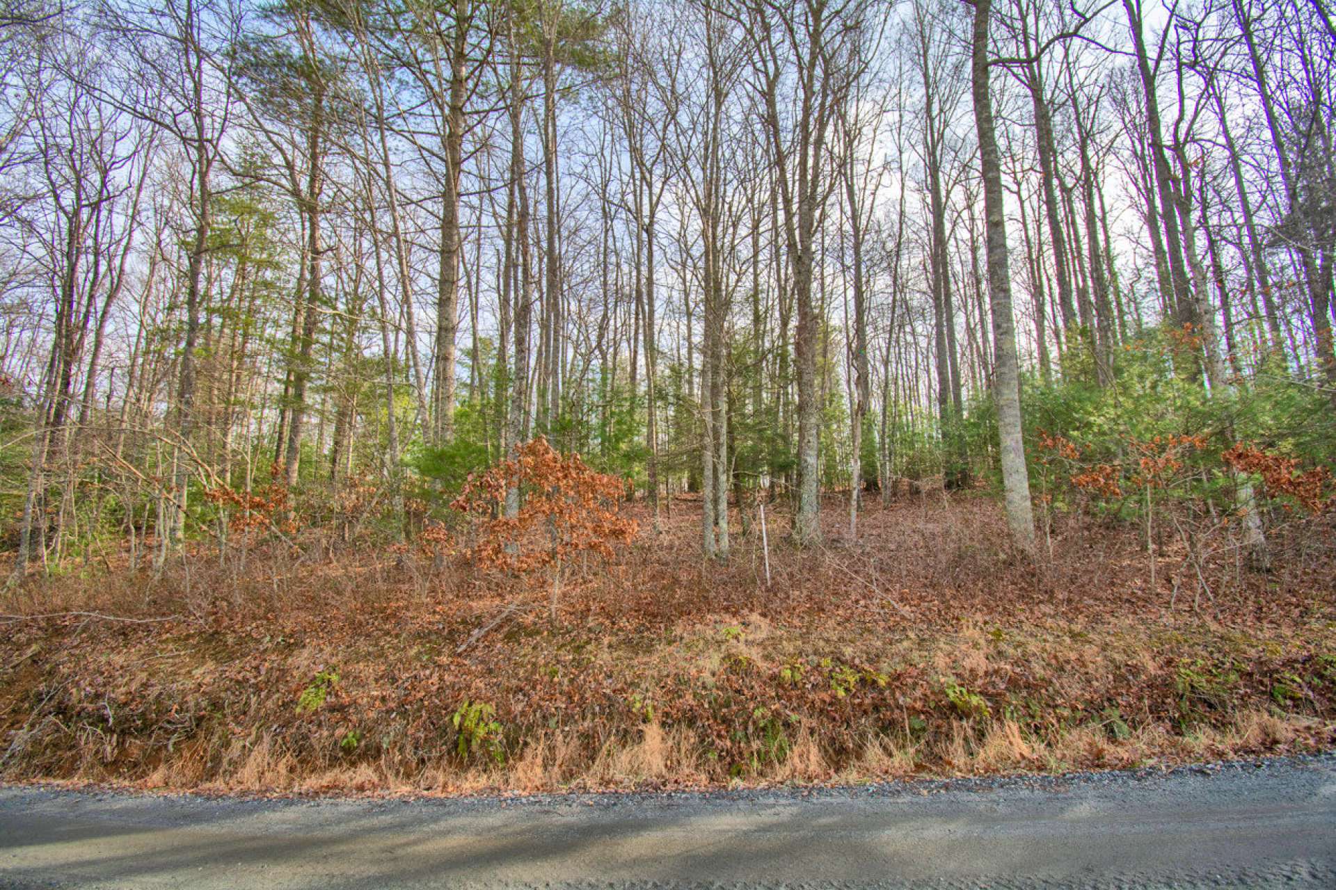 Lots 10,12,13, 18, and 19  CB Trail are all offered together for $50,000. These lots total 6.37 acres for a beautiful estate-sized homesite.