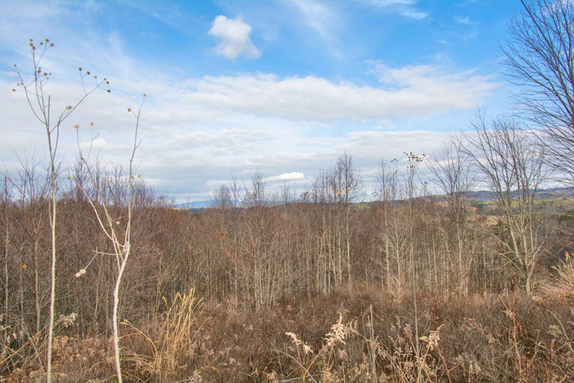 Lot 26 is offered at $14,000 and would be an ideal choice for your NC Mountain home or cabin.