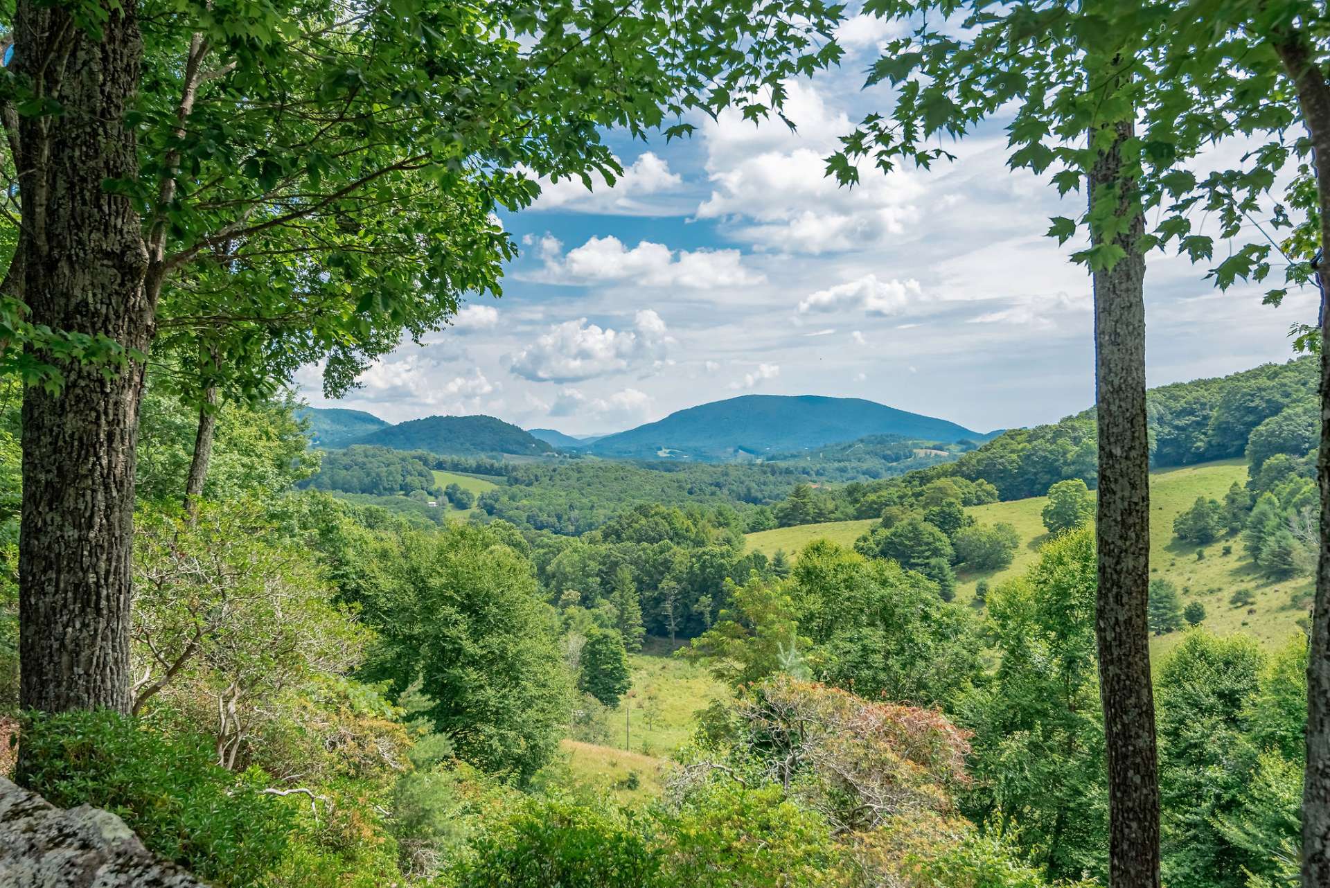 Great intimate view of Mount Jefferson including pastoral and long range mountain vistas.