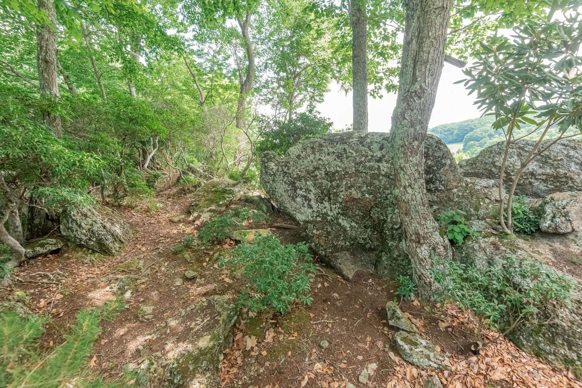 Property offers a short nature trail around the magnificent boulders.