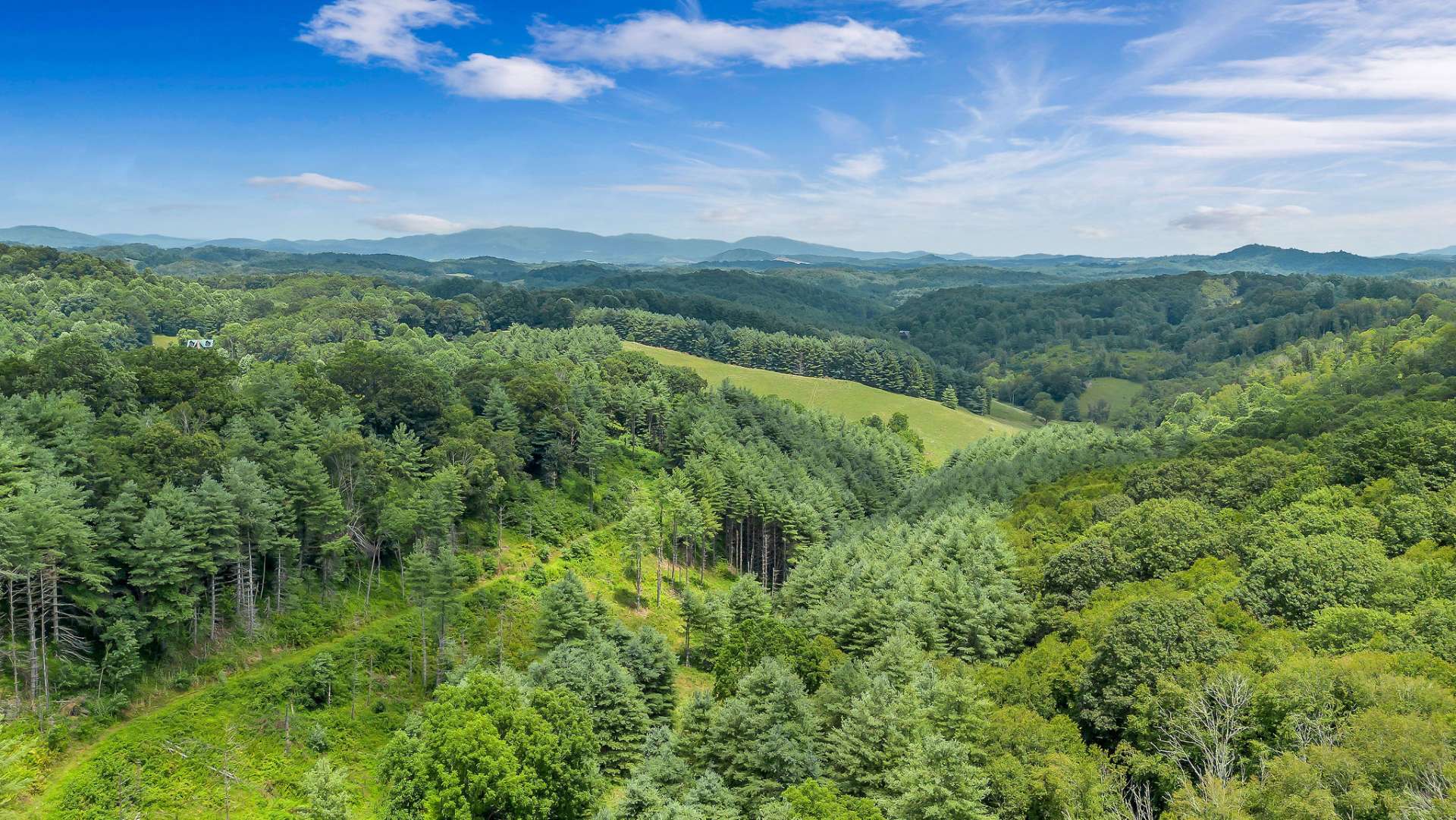 An aerial that captures the far back property line