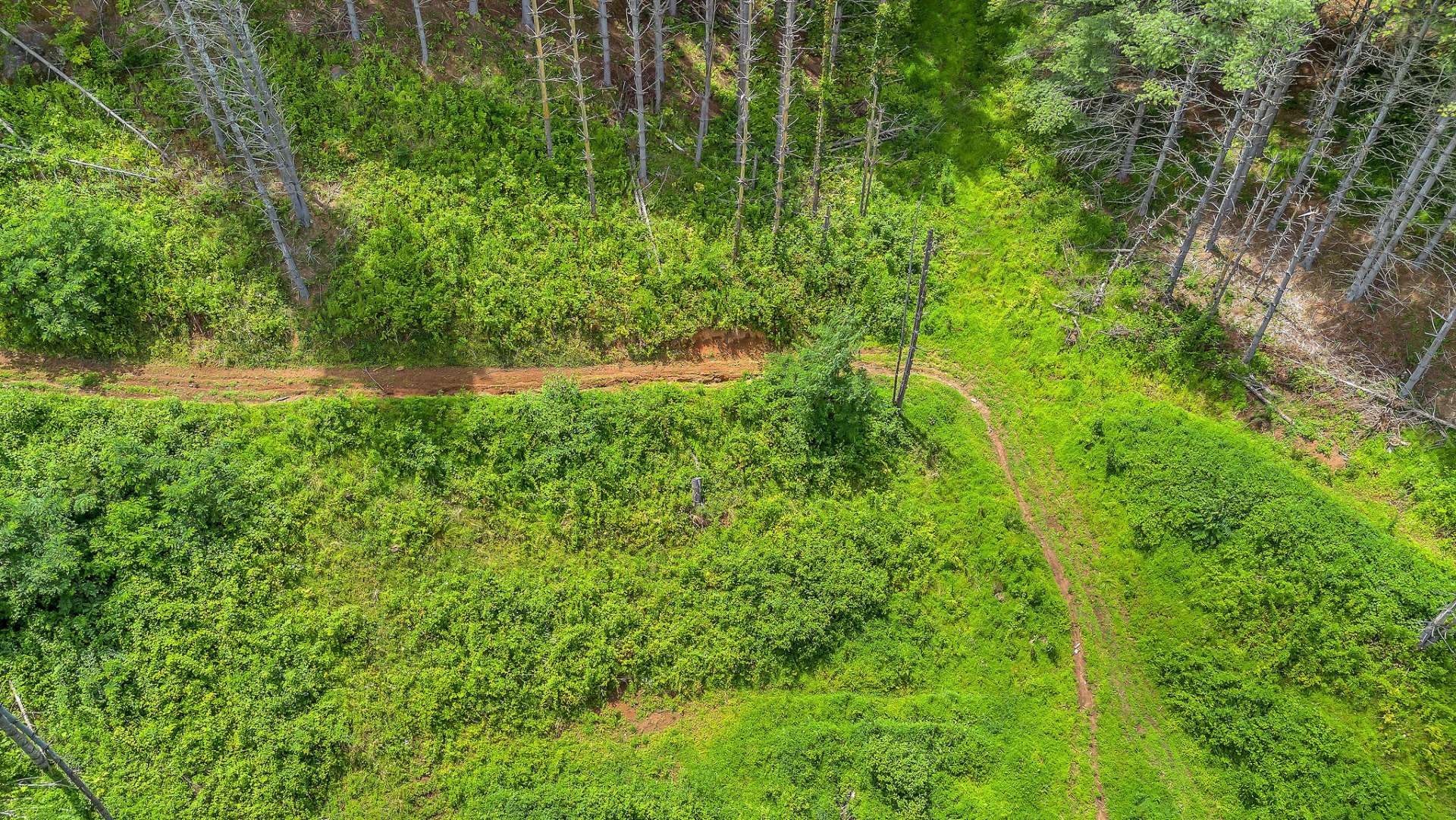 Bring your ATV and enjoy the ATV trail from the home all the way to the far side of your property