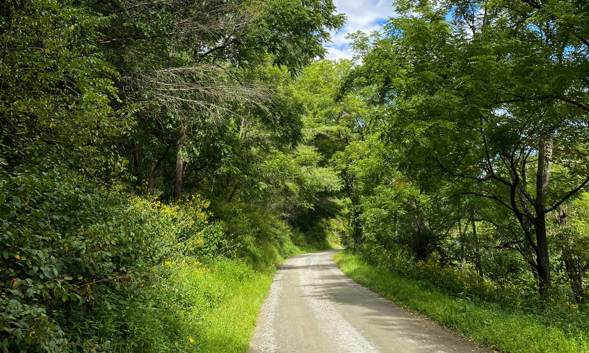 Looking for a private land tract for your mountain cabin?  Take a look at this UNRESTRICTED 8.43 wooded tract off of Smithey Road in the Crumpler area of Ashe County in the NC Mountains.