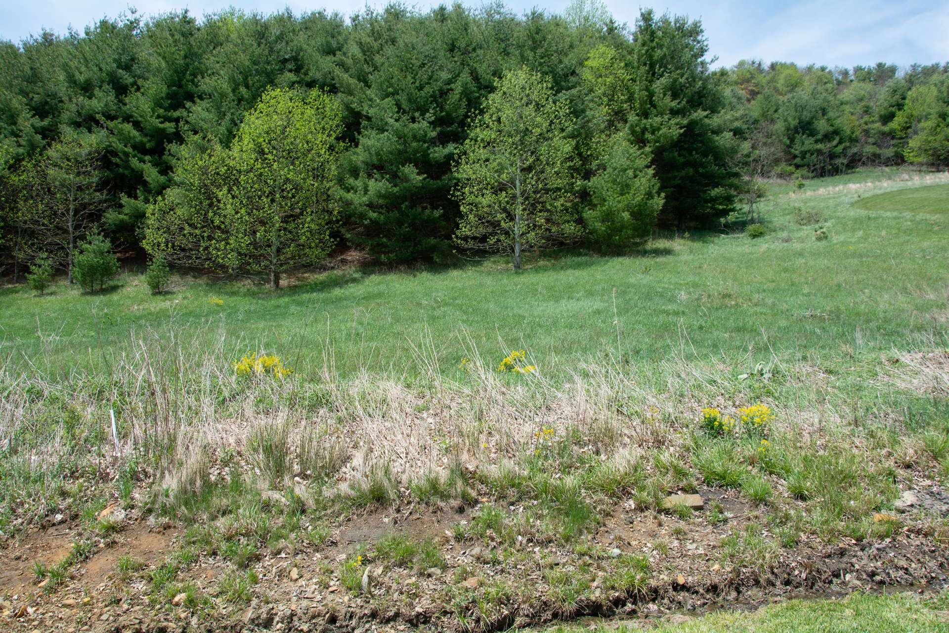 A combination of lots 61 and 62, this building site offers gentle terrain with both open and wooded areas creating the ideal setting for your mountain retreat.