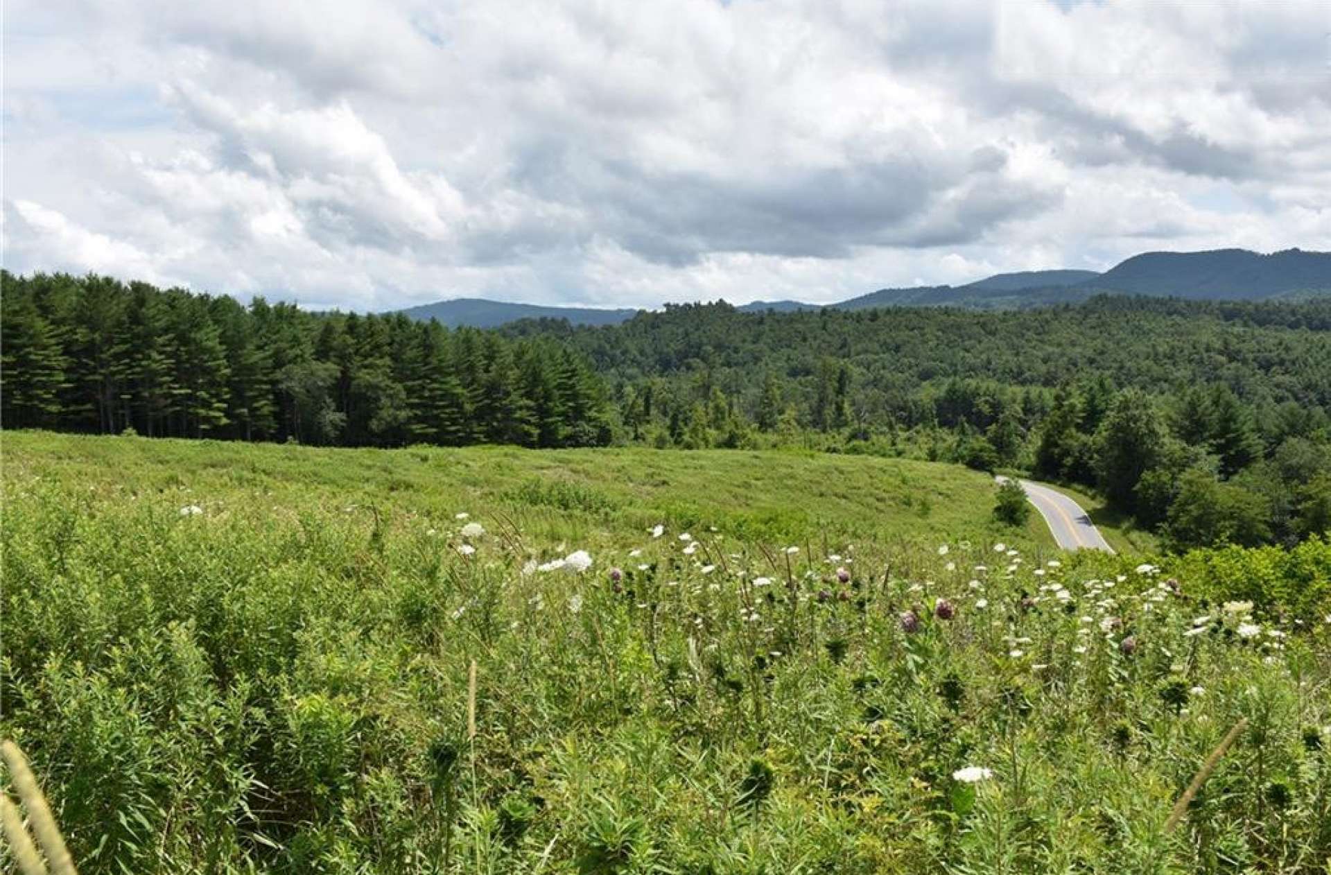 The  terrain is gently rolling and perfect for a mini farm, small vineyard, livestock or simply a private mountain estate homesite.  Call today for additional information on listing H294 offered at only $69,900.