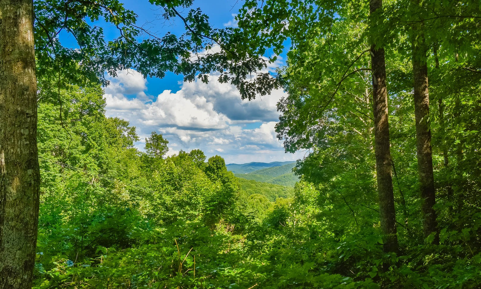 Imagine sitting on the porch or deck of your mountain cabin and enjoying these views while the gentle breezes whisper through the trees.