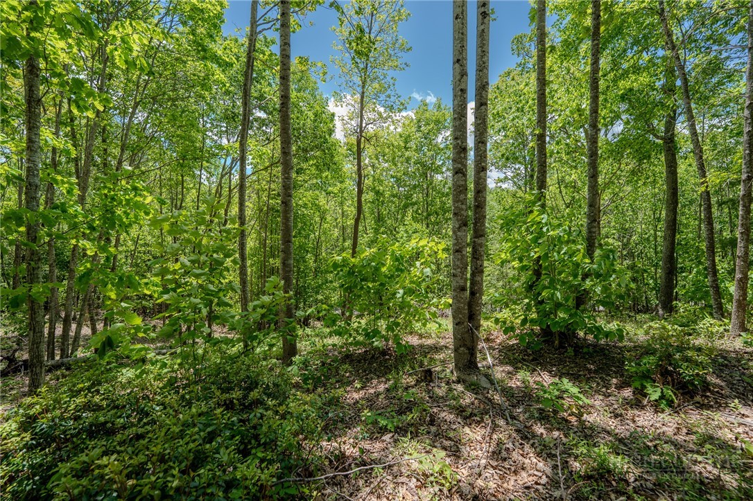 Beaver Dam Road