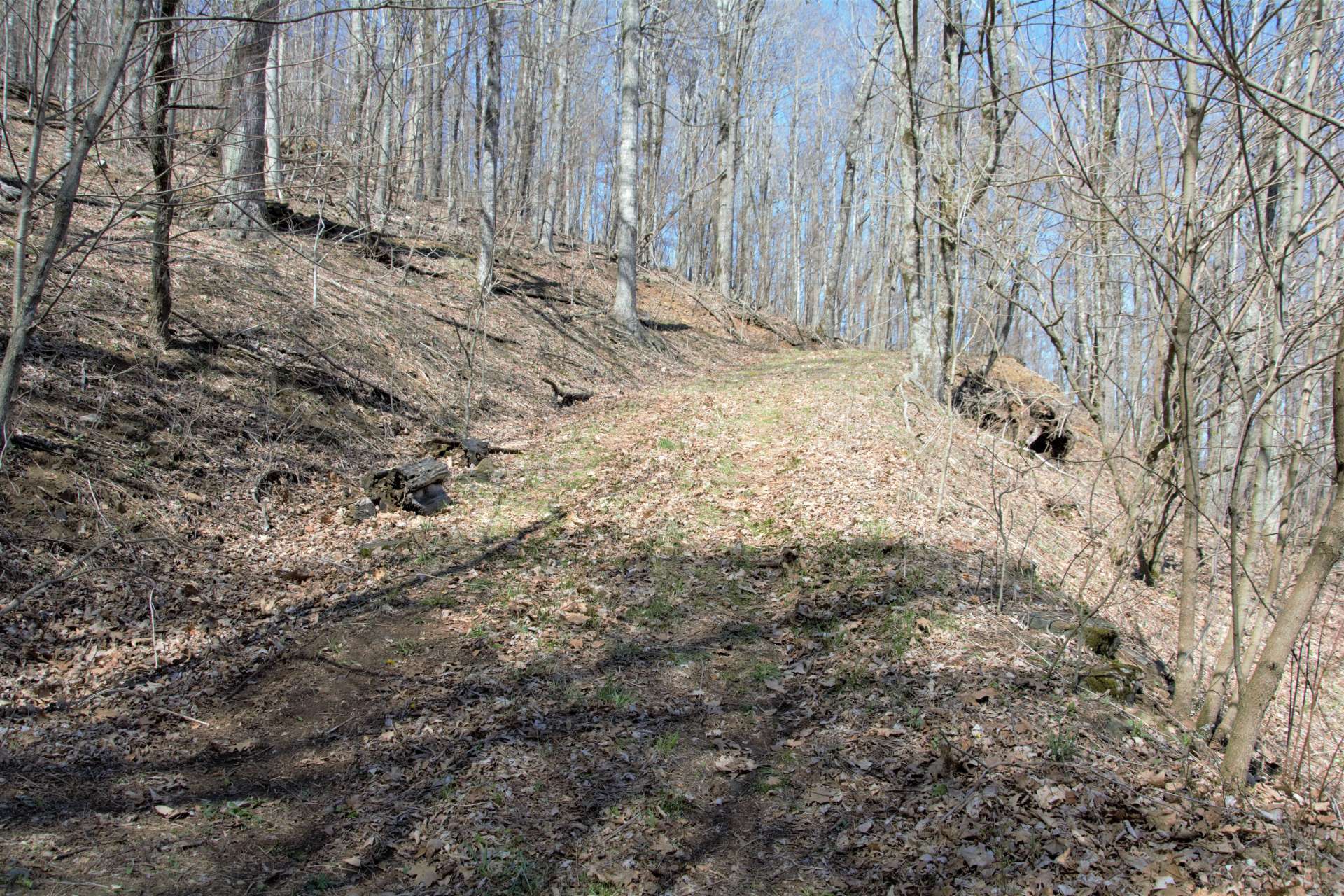 The lot has road frontage, but also has a Right of Way that can be driven up onto the property. A path continues on the property that can be walked.