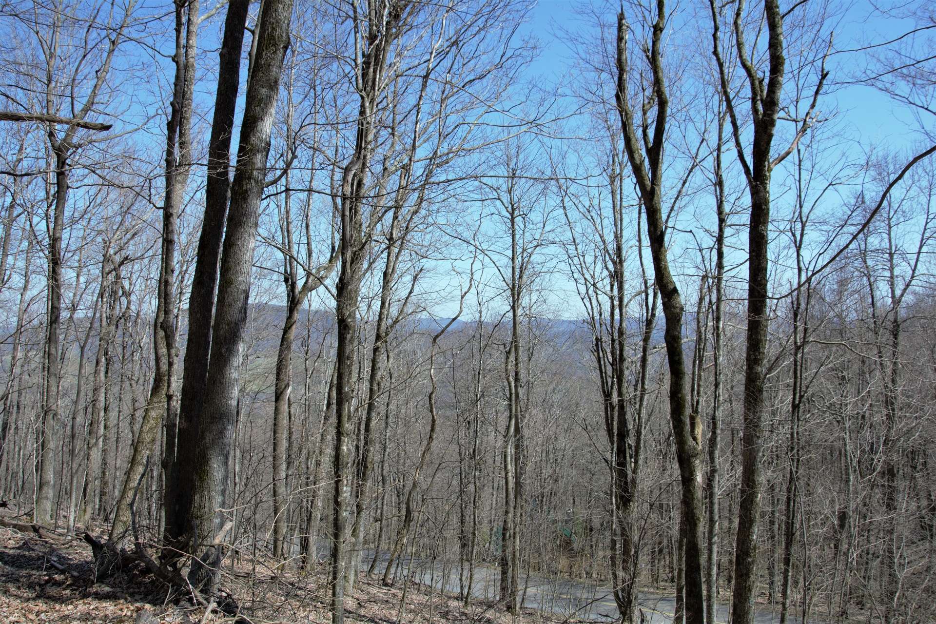 <b>Lot OBS is offered at  $56,500 and a great choice for your NC Mountain retreat or year round home.  W251</b>