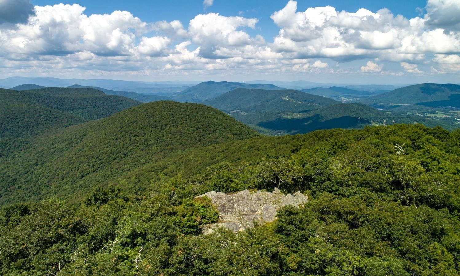 At an elevation of just under 5,000', this truly unique and rare mountain top property that towers over Big Tree, Stonebridge and Crown Point is a one-of-a-kind property that offers the most incredible long-range views available in the Blue Ridge Mountains. This mountain top tract situated at the top of Bald Mountain contains several possible building sites, great year round access, underground utilities and a 5-bedroom septic system already installed. Offered at $760,000. Call today for additional information.