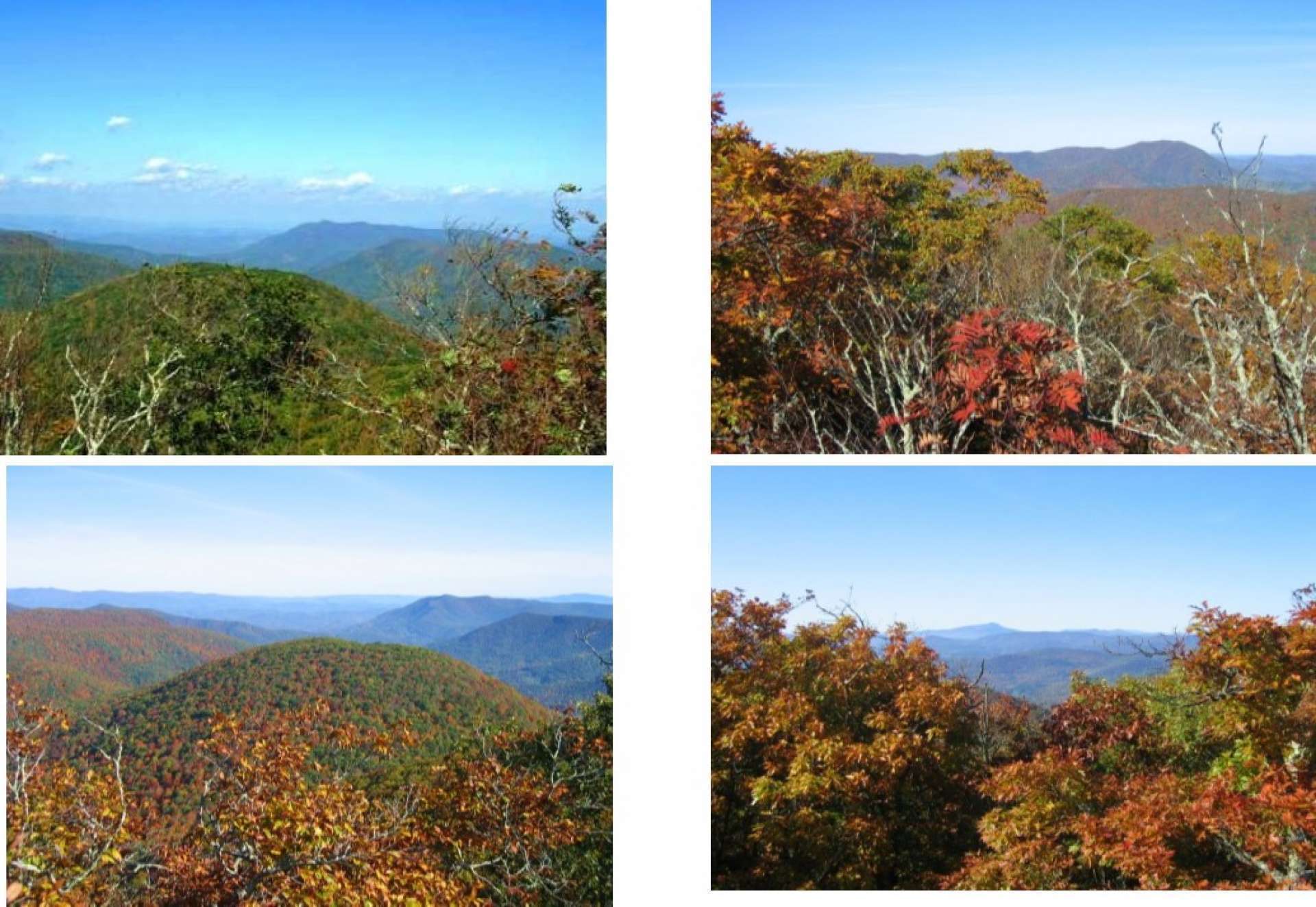 Watch the mountains change colors during all four seasons in the North Carolina High Country. Simply breathtaking!