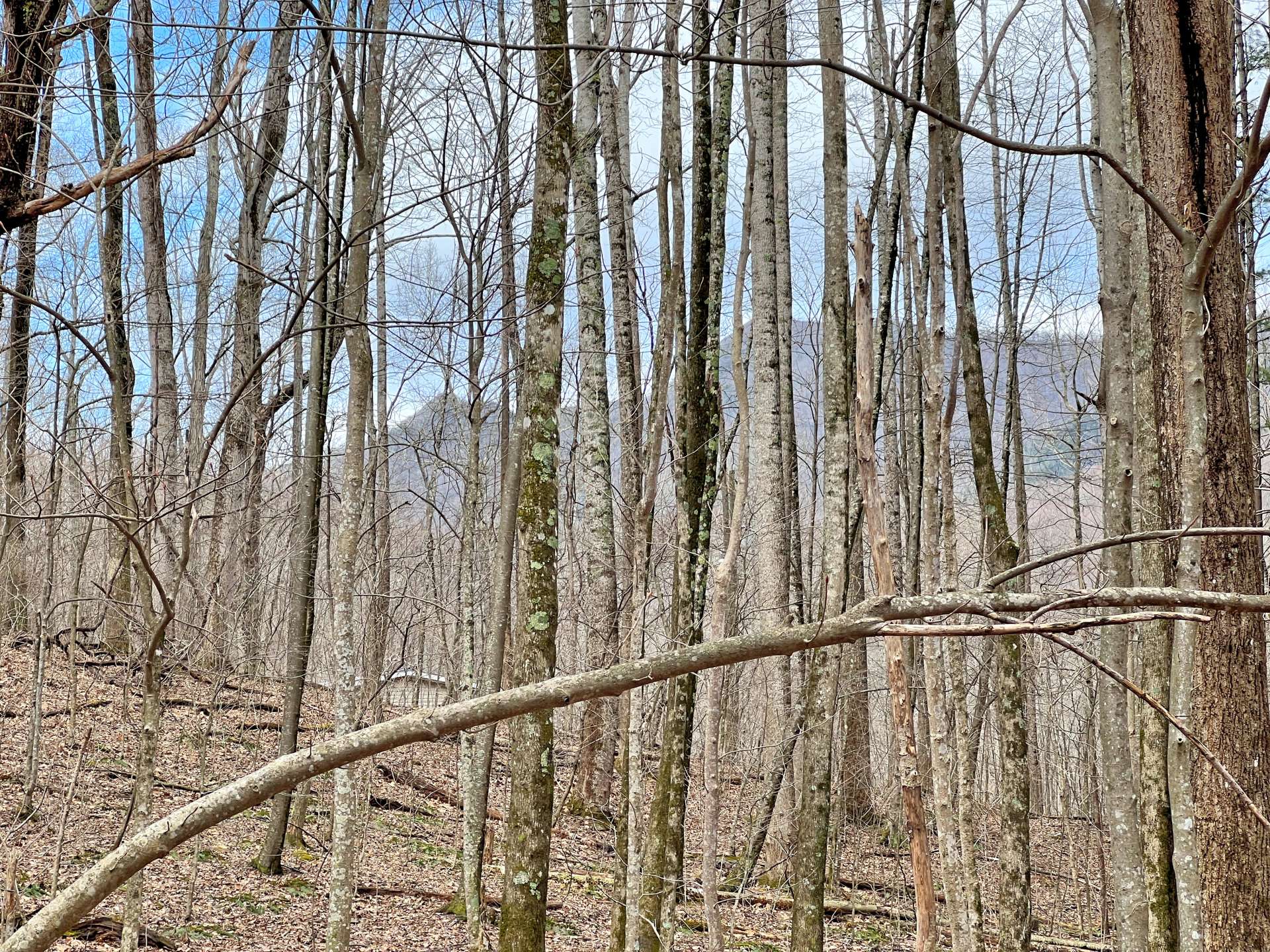 Potential building site with Seasonal views