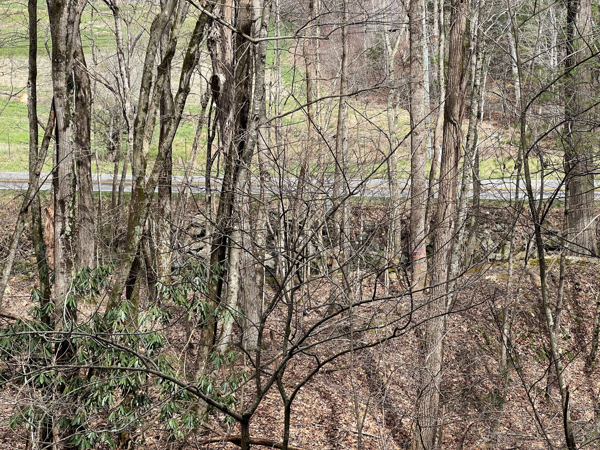 Looking toward Buffalo Road