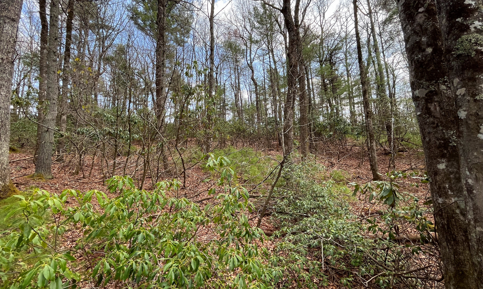 Peaceful NC Mountain Homesite