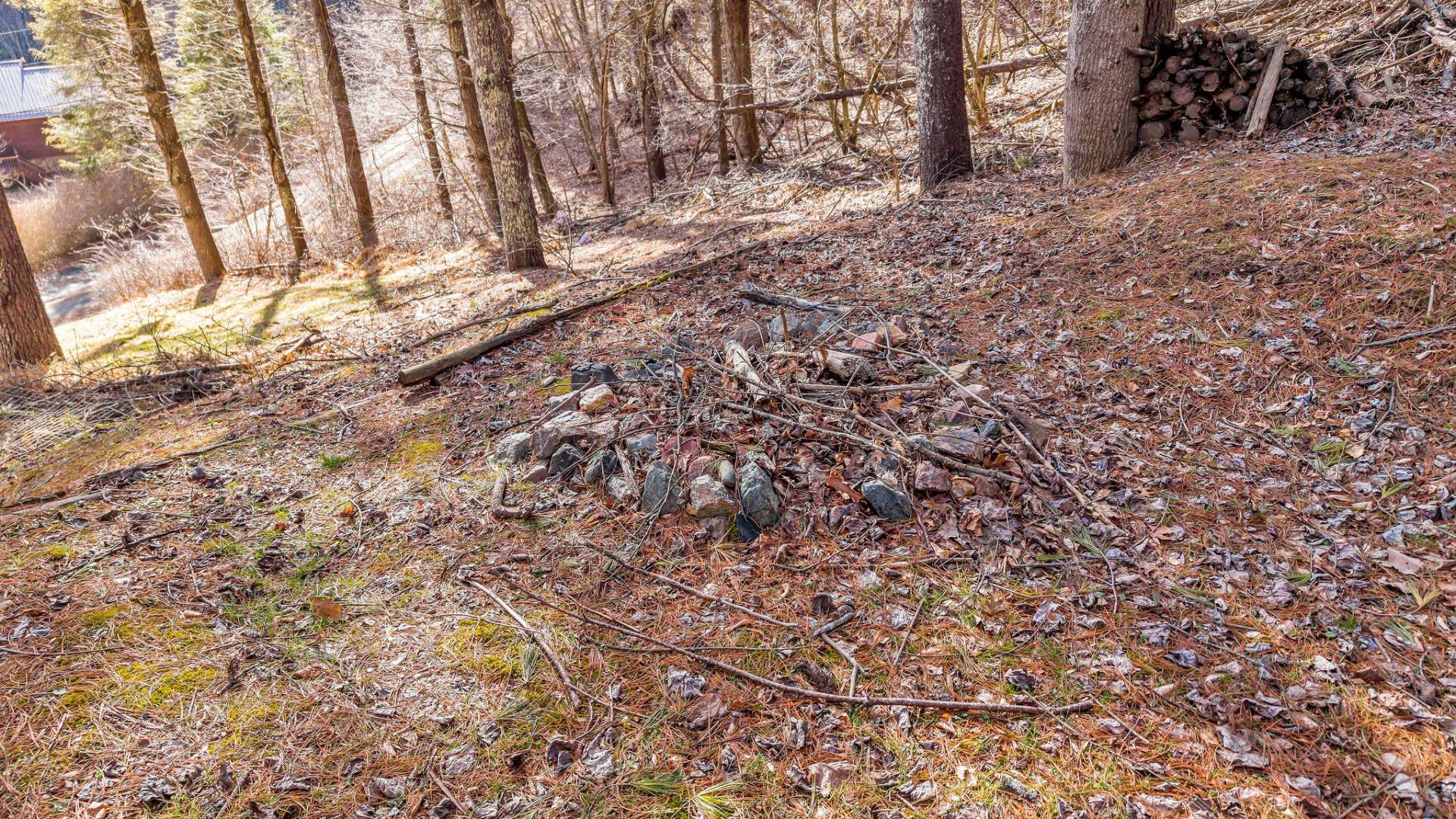 Great spot for relaxing around the firepit