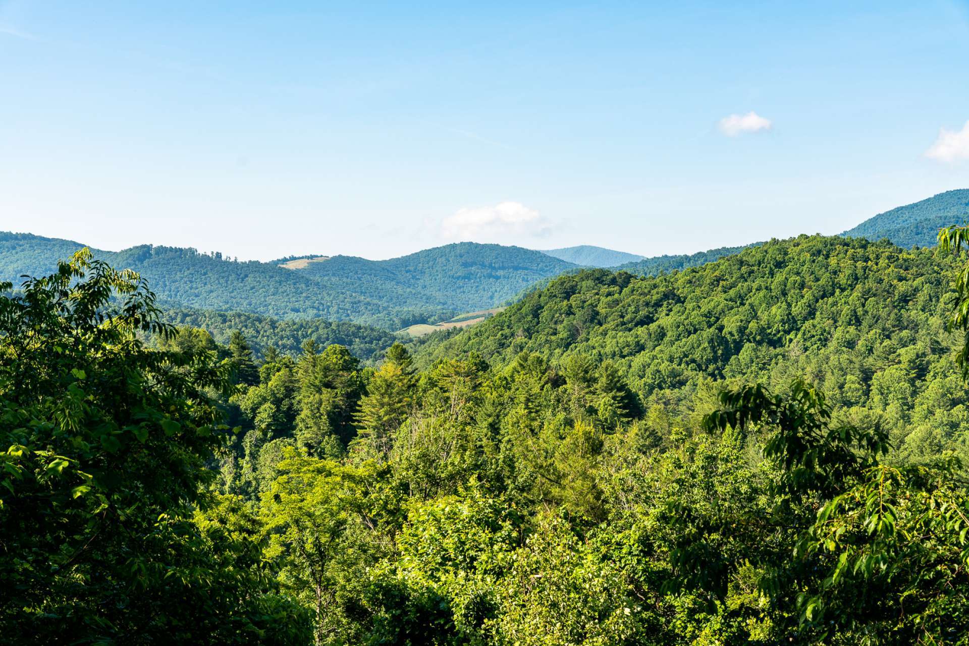 There is nothing more serene than layers of mountain vistas and the sounds of Nature all around you.