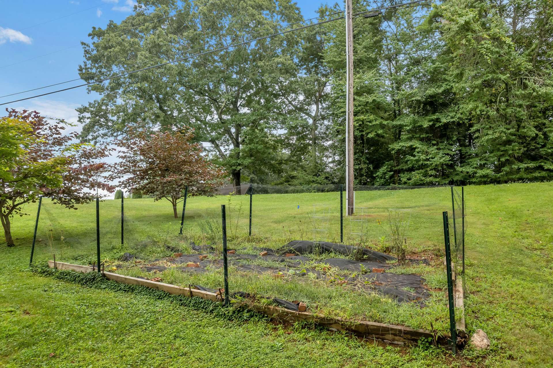 Fenced garden spot