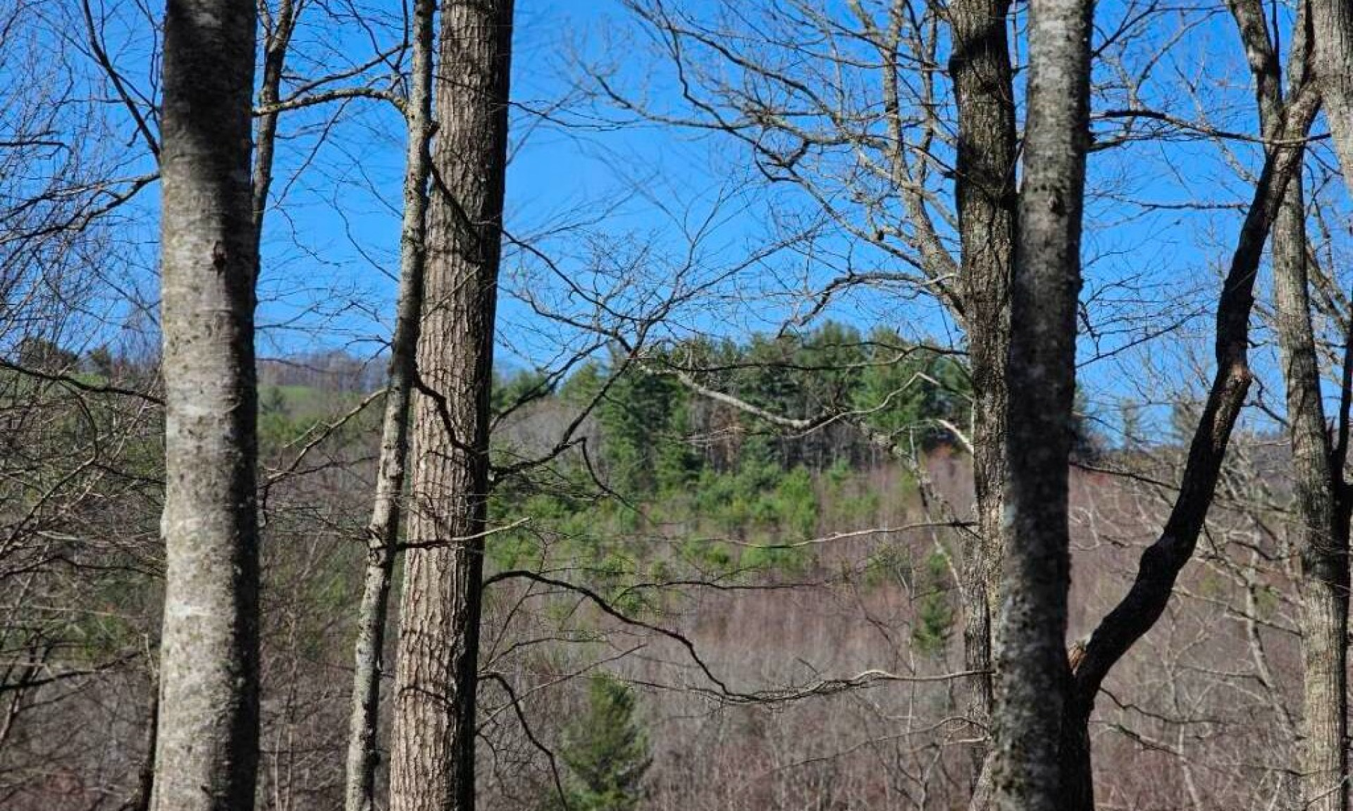 Blue Ridge Mountain Homesite Ashe County NC