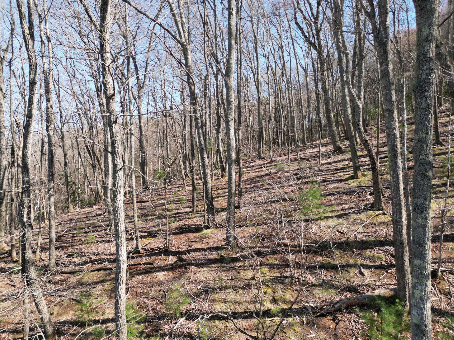 Drone Photo looking back from the roadway to the land