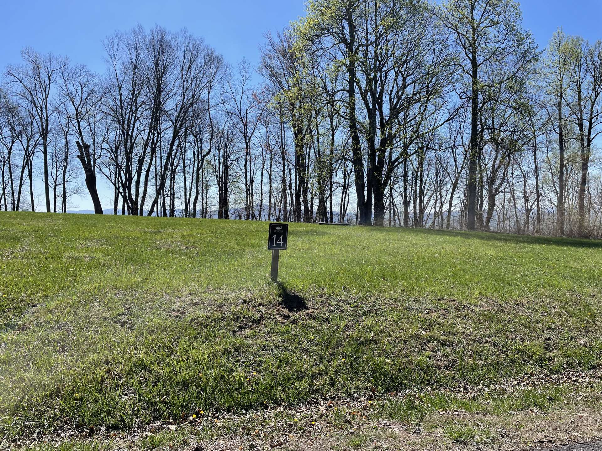 Lot #14 features a level building spot with 360 degree views across Ashe County.