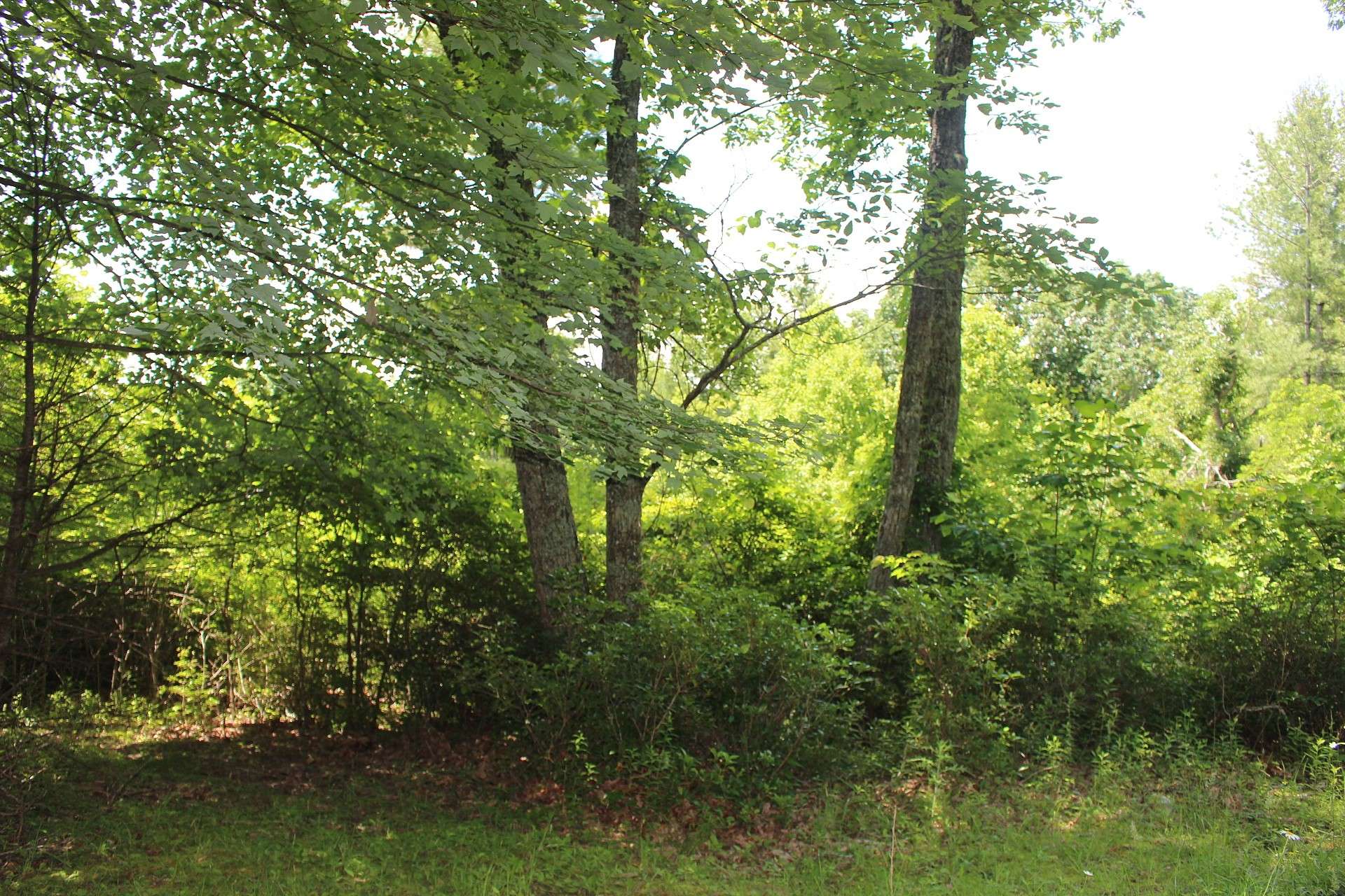 Lots  3 and 4 combined make a great homesite.  These mountain homesites offer road frontage and a great place to build your NC Mountain retreat or primary residence.