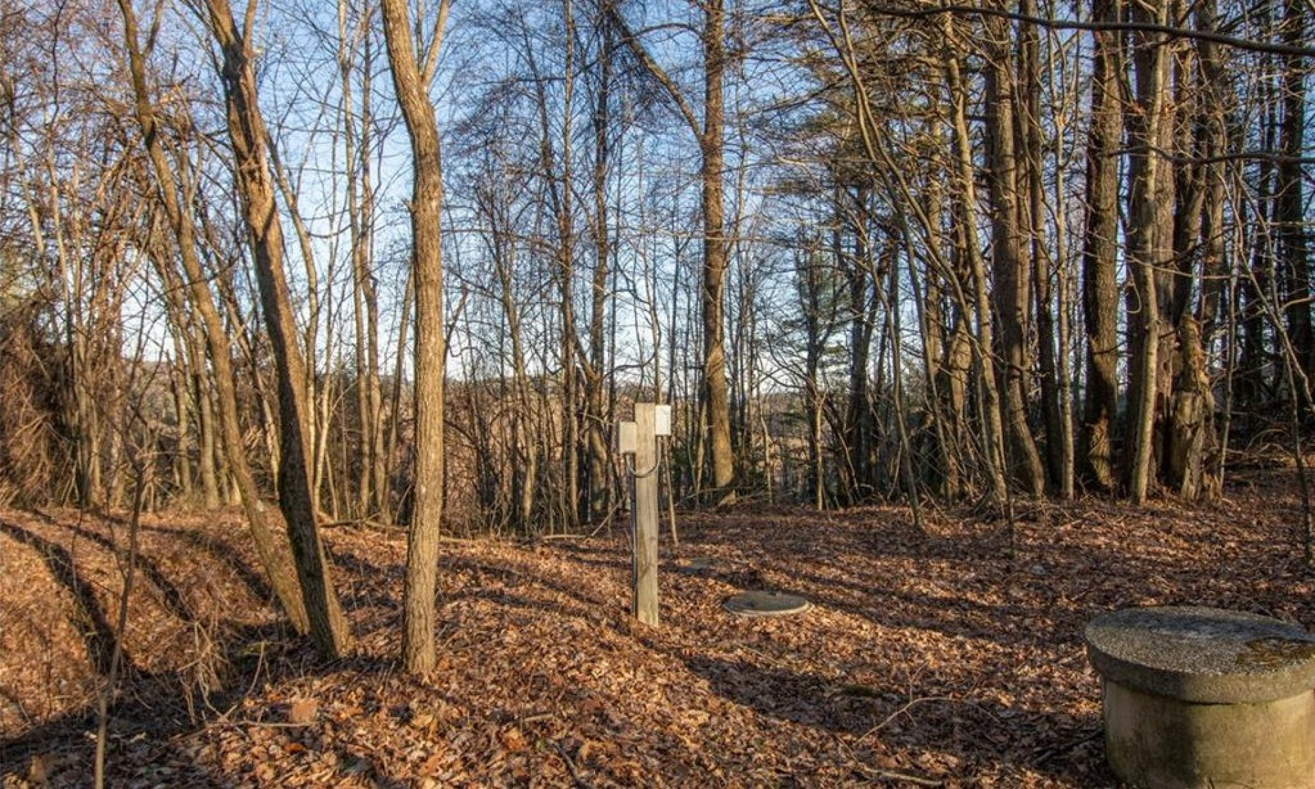 Blue Ridge Mountain Homesite