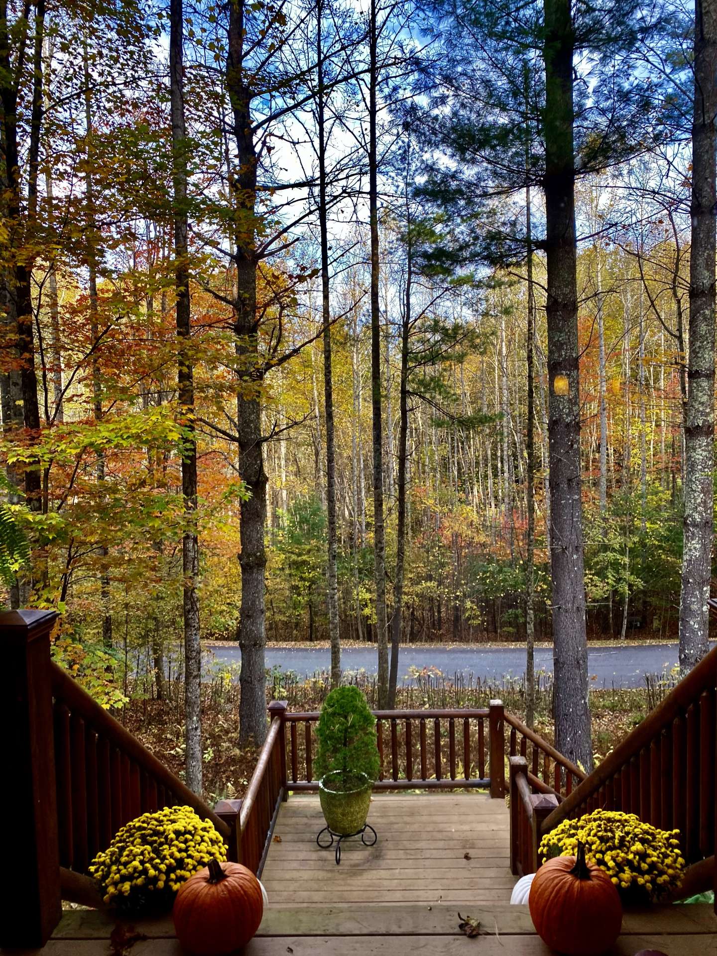 Magnificent fall views from the front porch!