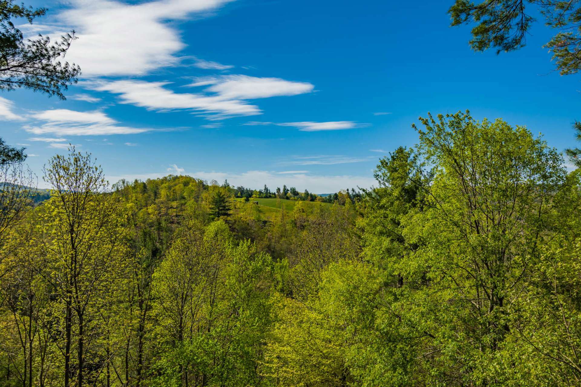 Enjoy the views from the lower level deck. Simply serene!  The low maintenance setting allows for more time spent with mountain activities and less time spent on lawn work.