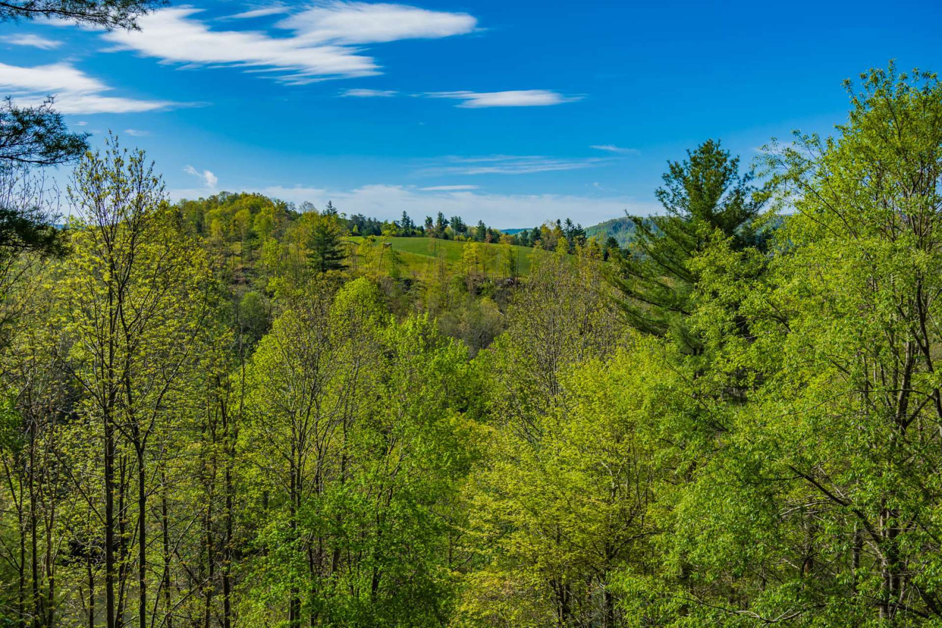 Enjoy the pristine setting surrounding you that includes trees, pastures, and the Blue Ridge Mountains beyond while relaxing on the covered deck with the sounds of the New River below.