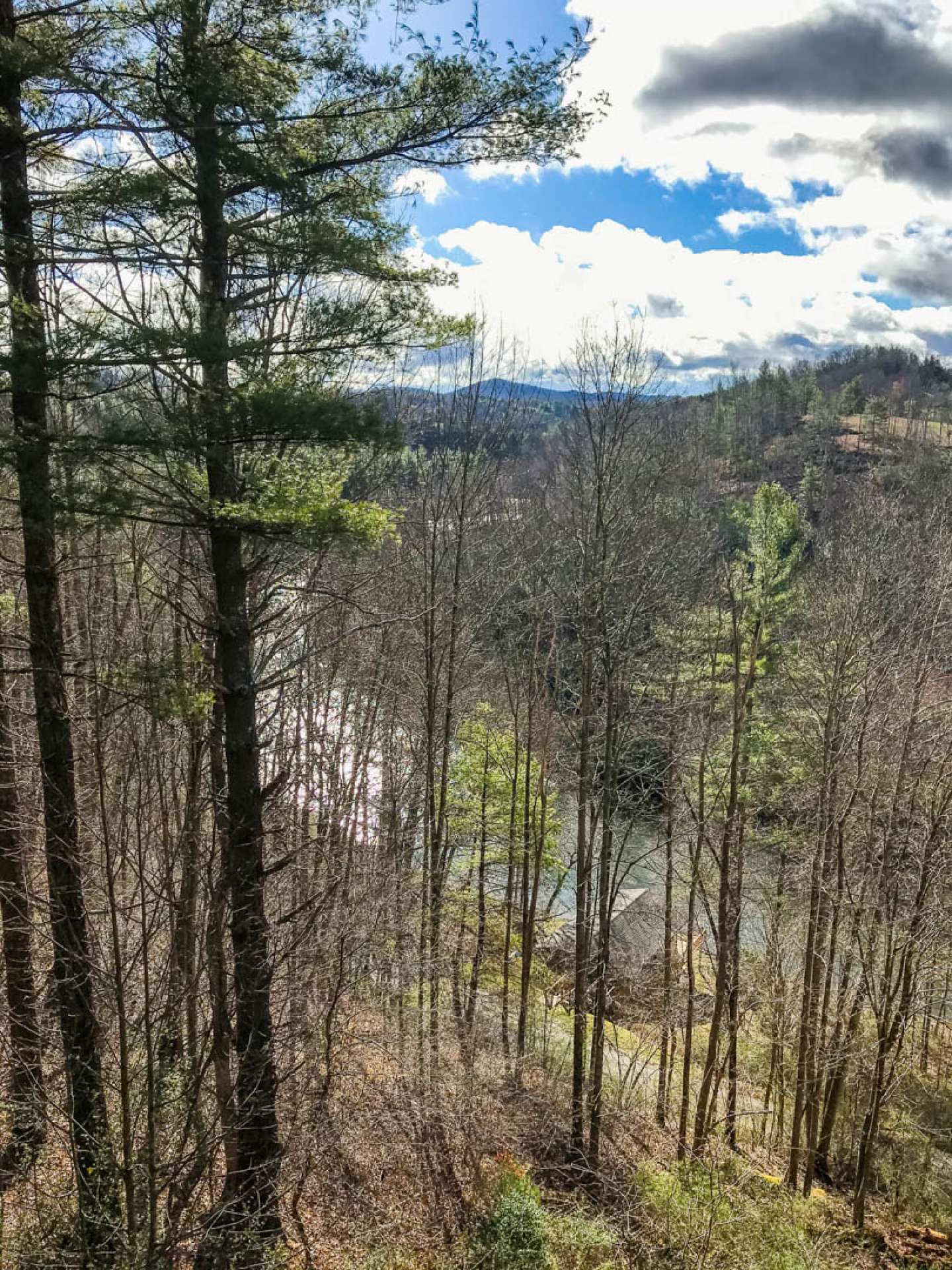 This photo provided by the Seller shows the wonderful seasonal views of the river and mountains available from the covered deck.