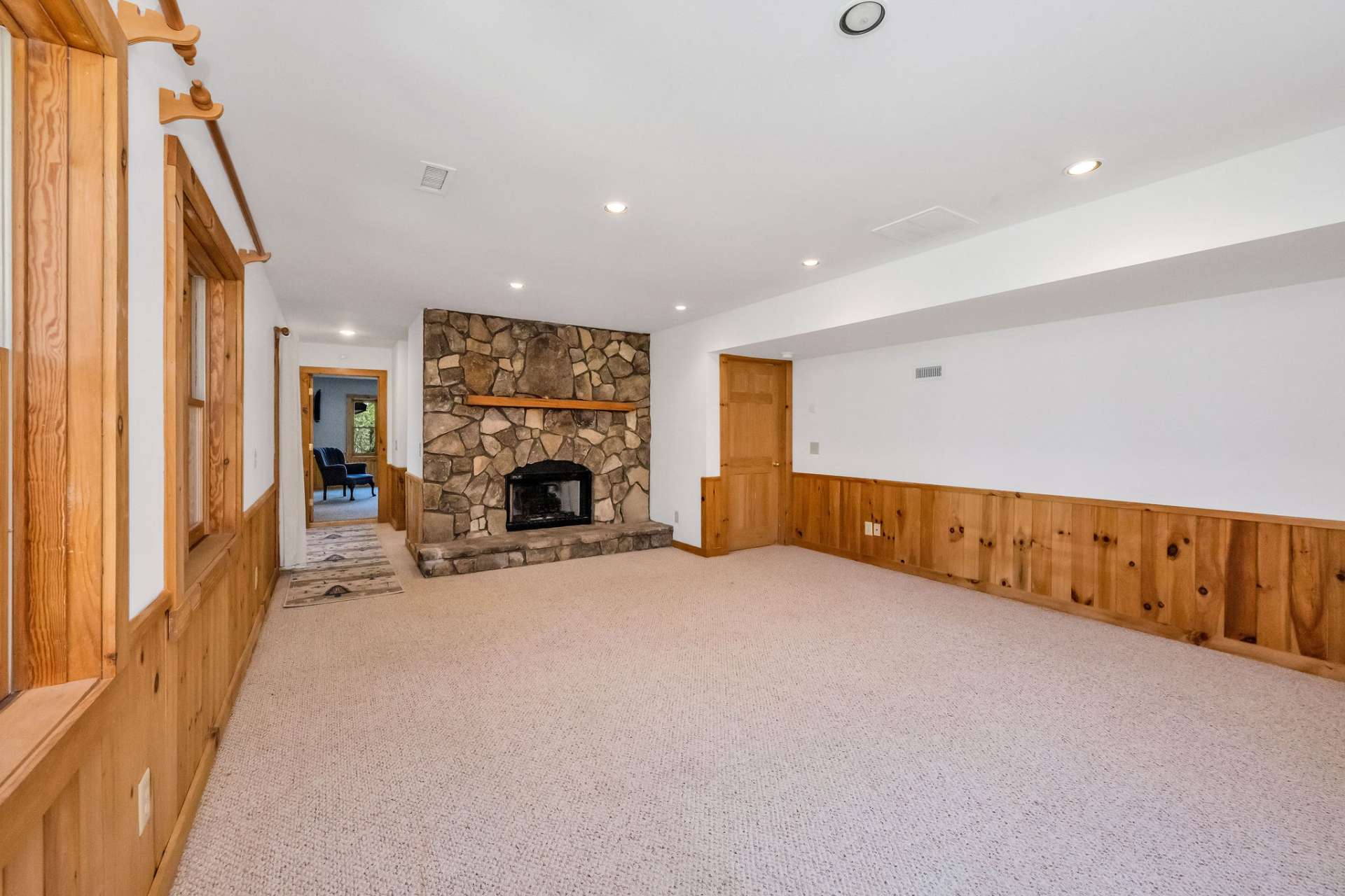 Lower level living area